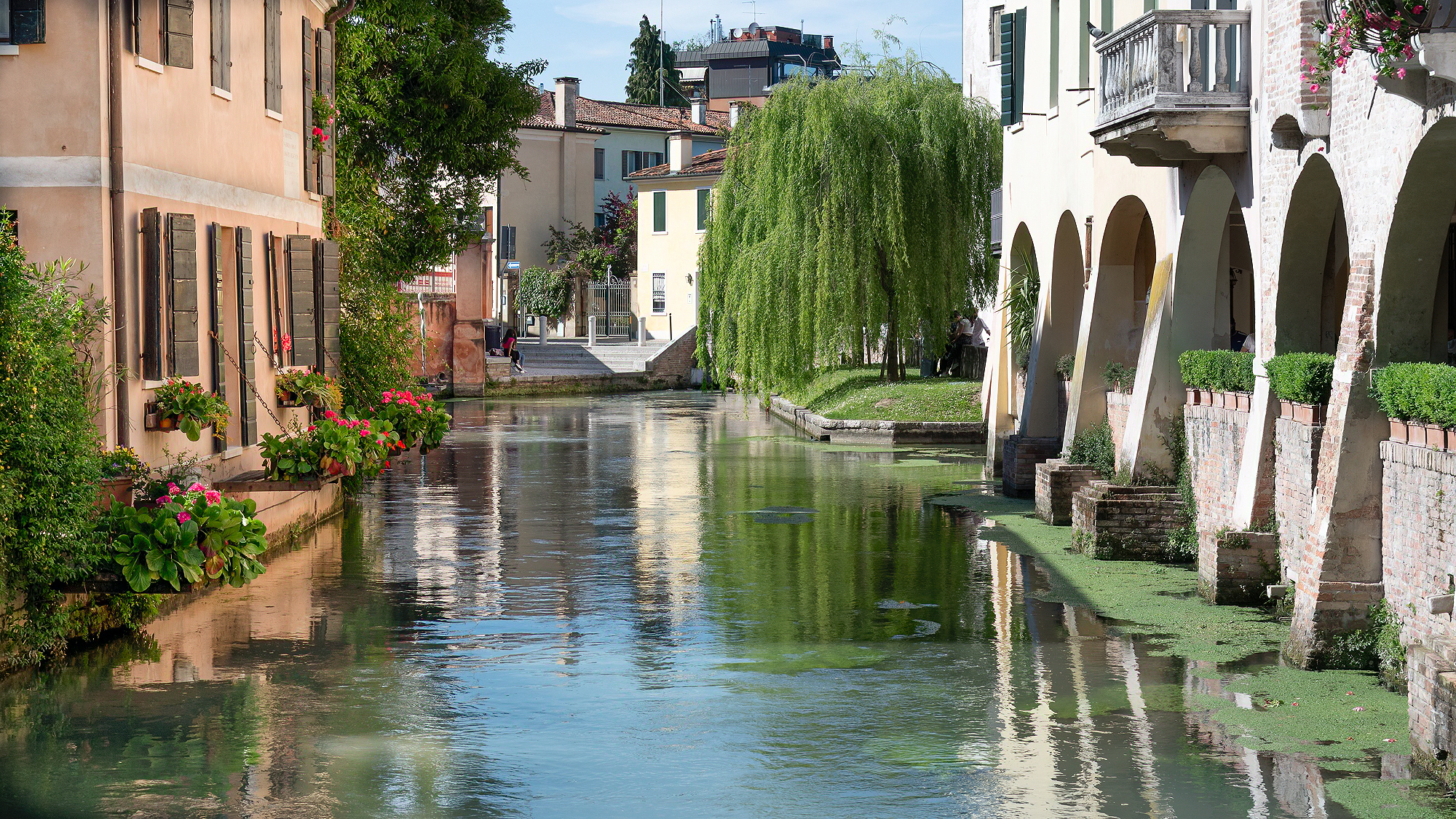 Treviso