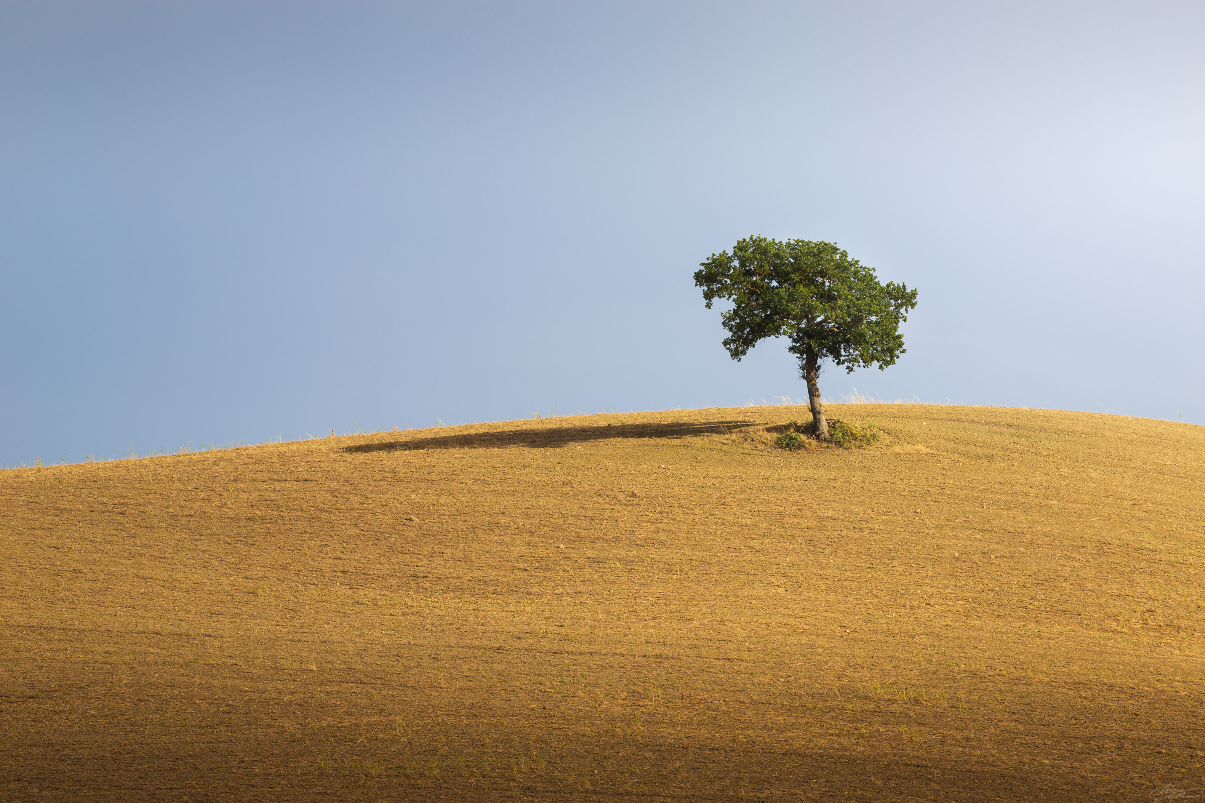 Il solitario sulla collina