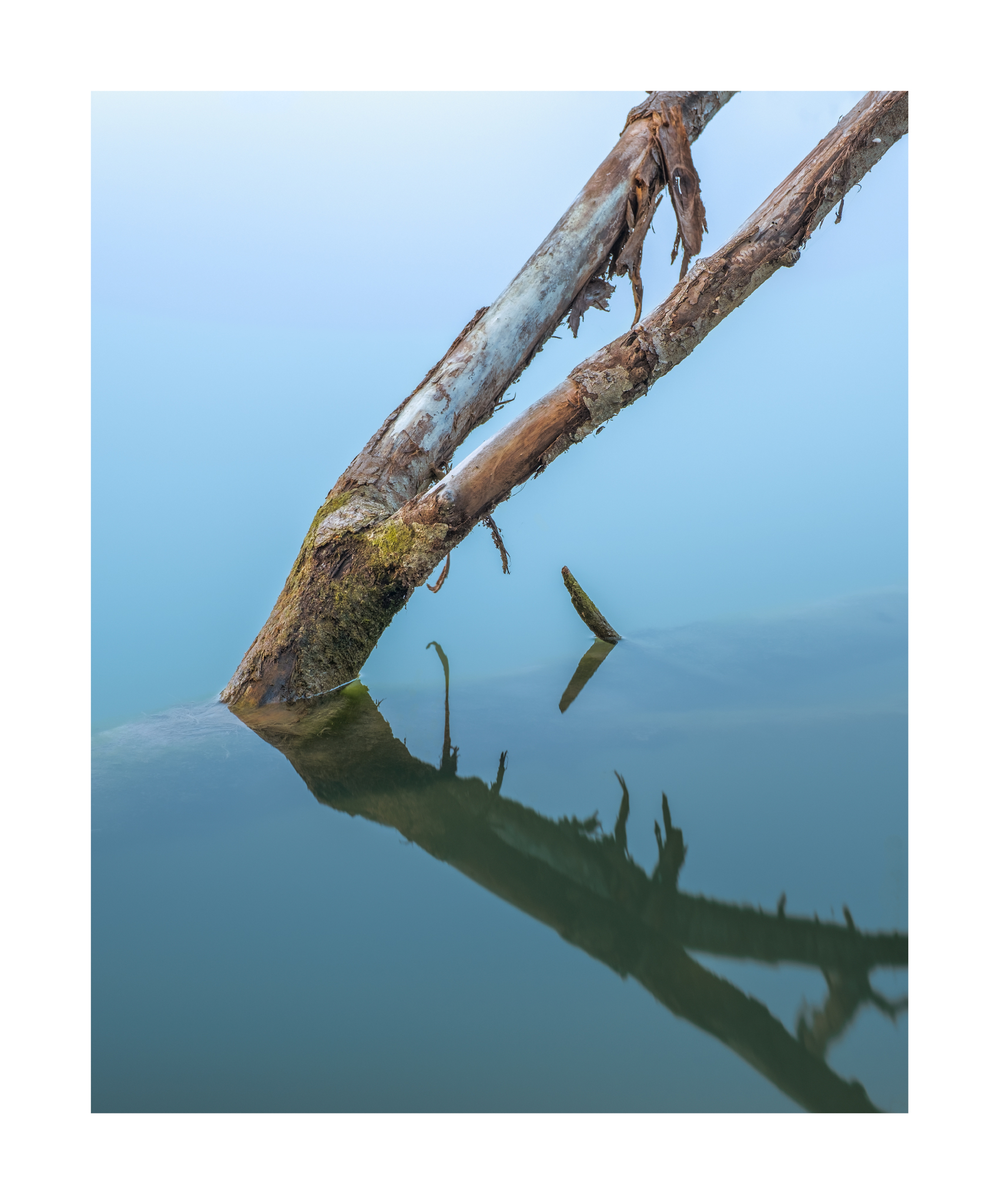 Untitled Photo
