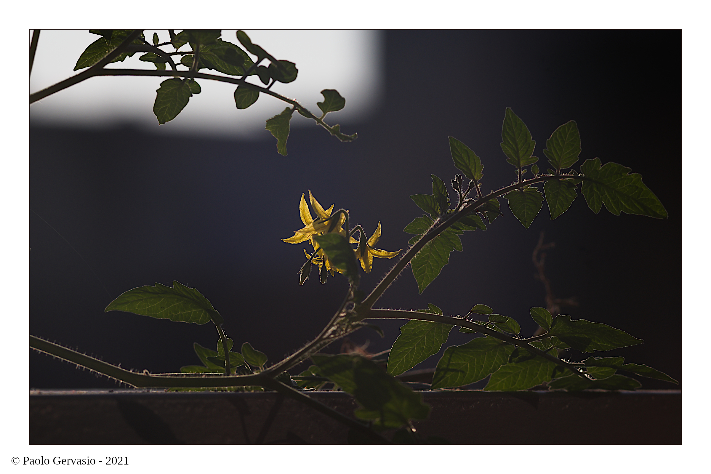 Look out over the light