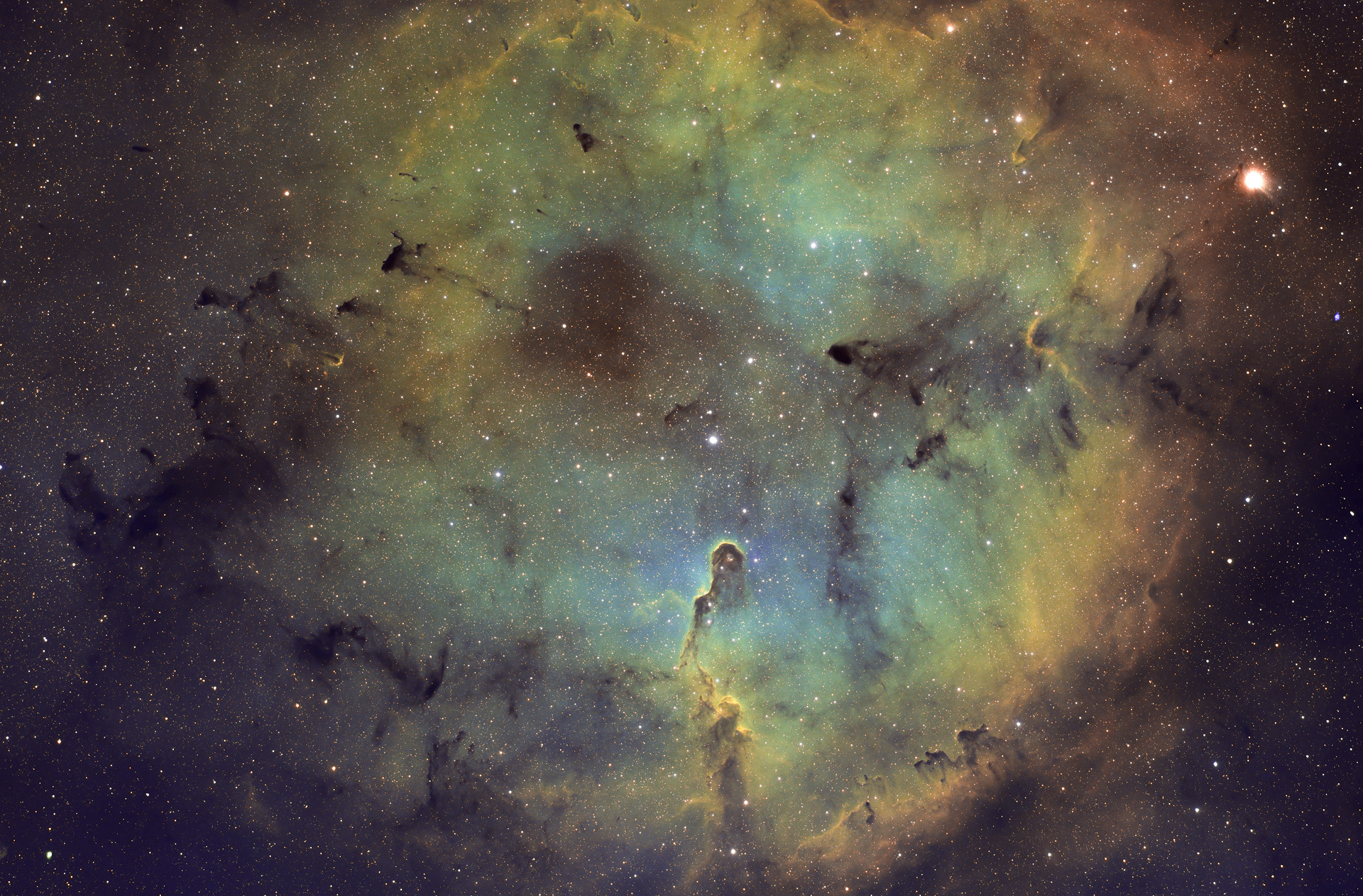 Elephant Trunk in SHO