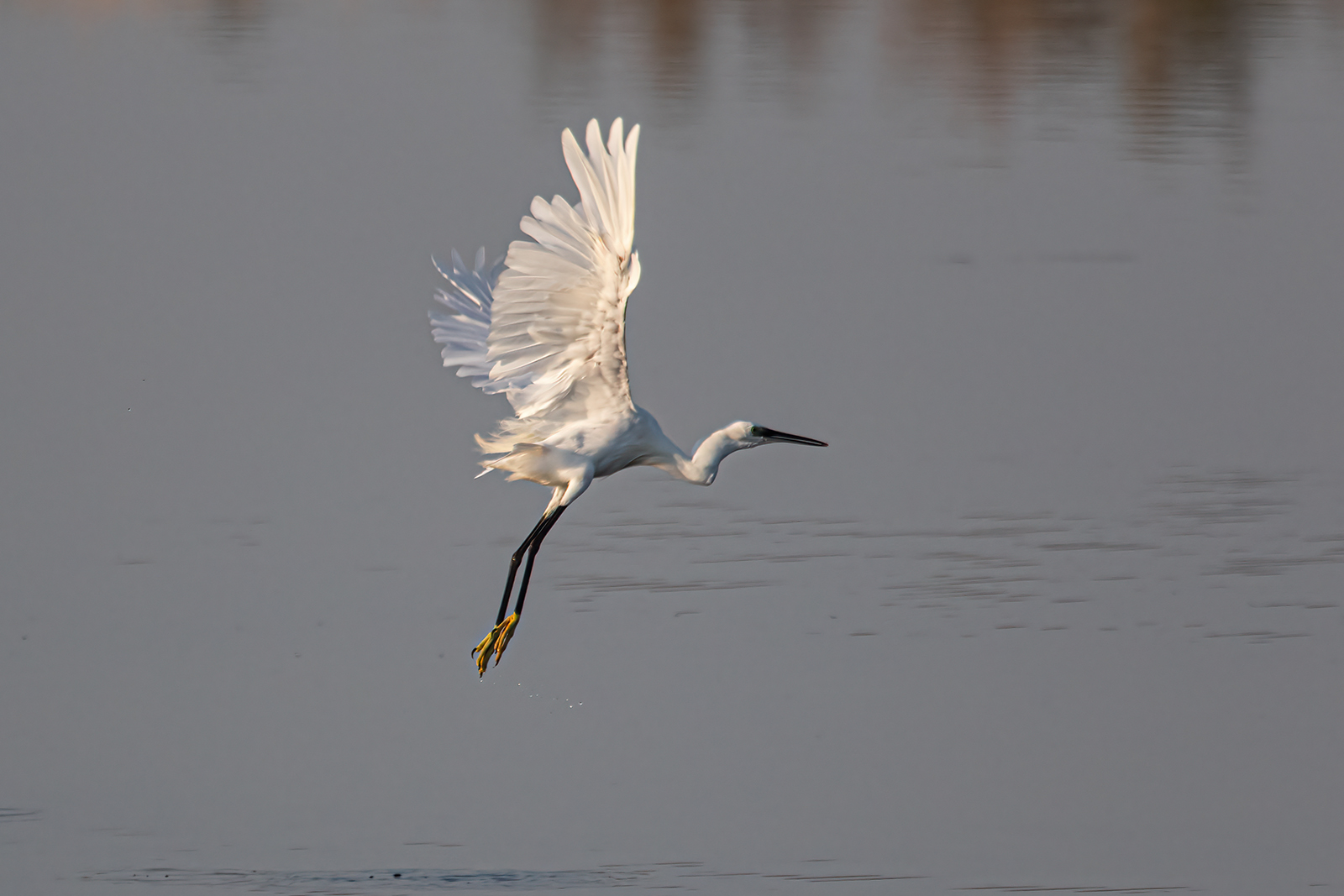 EGRET