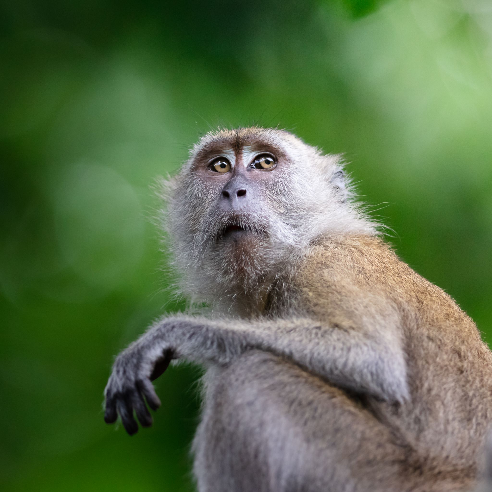 Stiamo a guardare che succede...