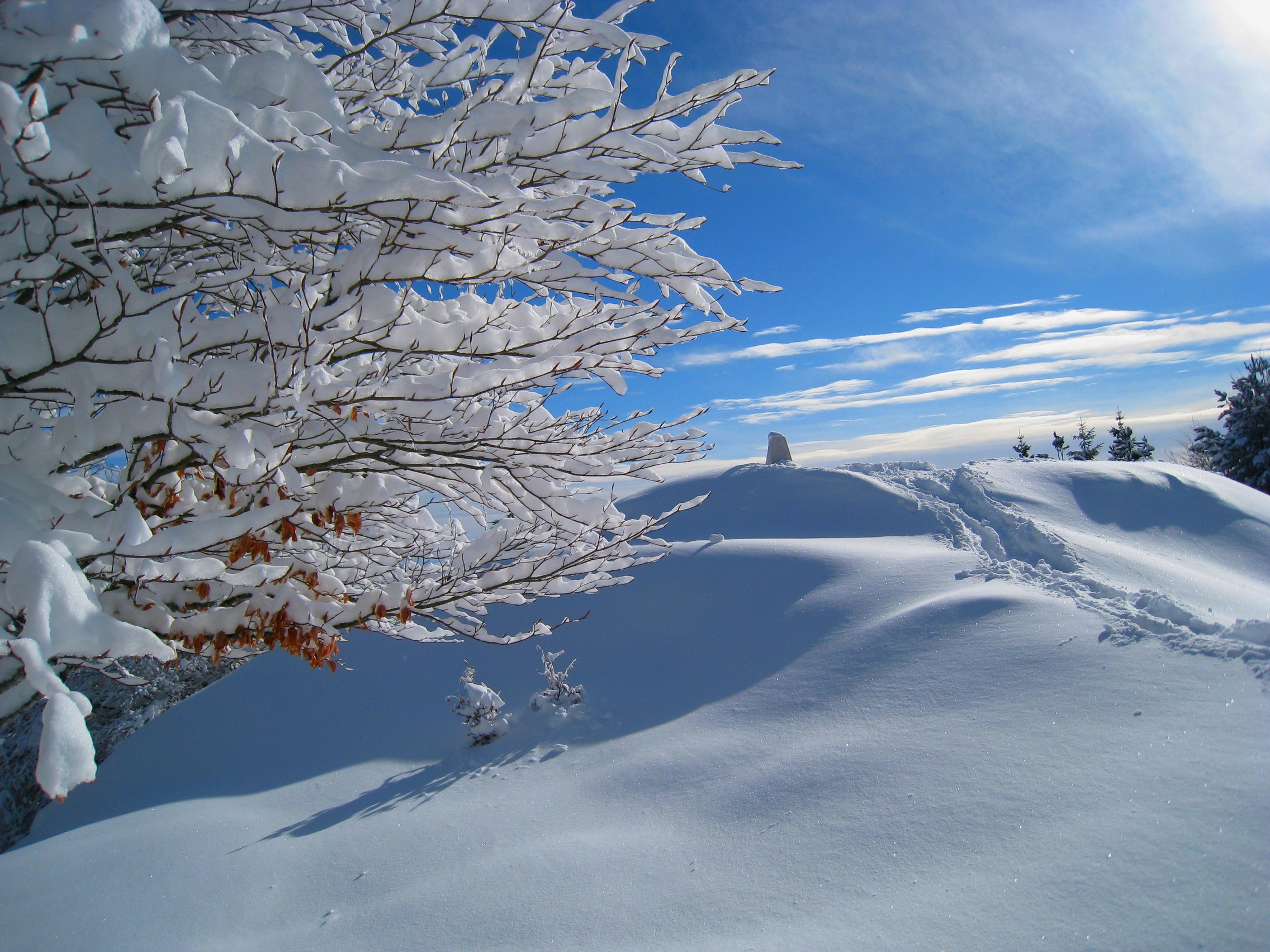 Cansiglio (Pordenone)