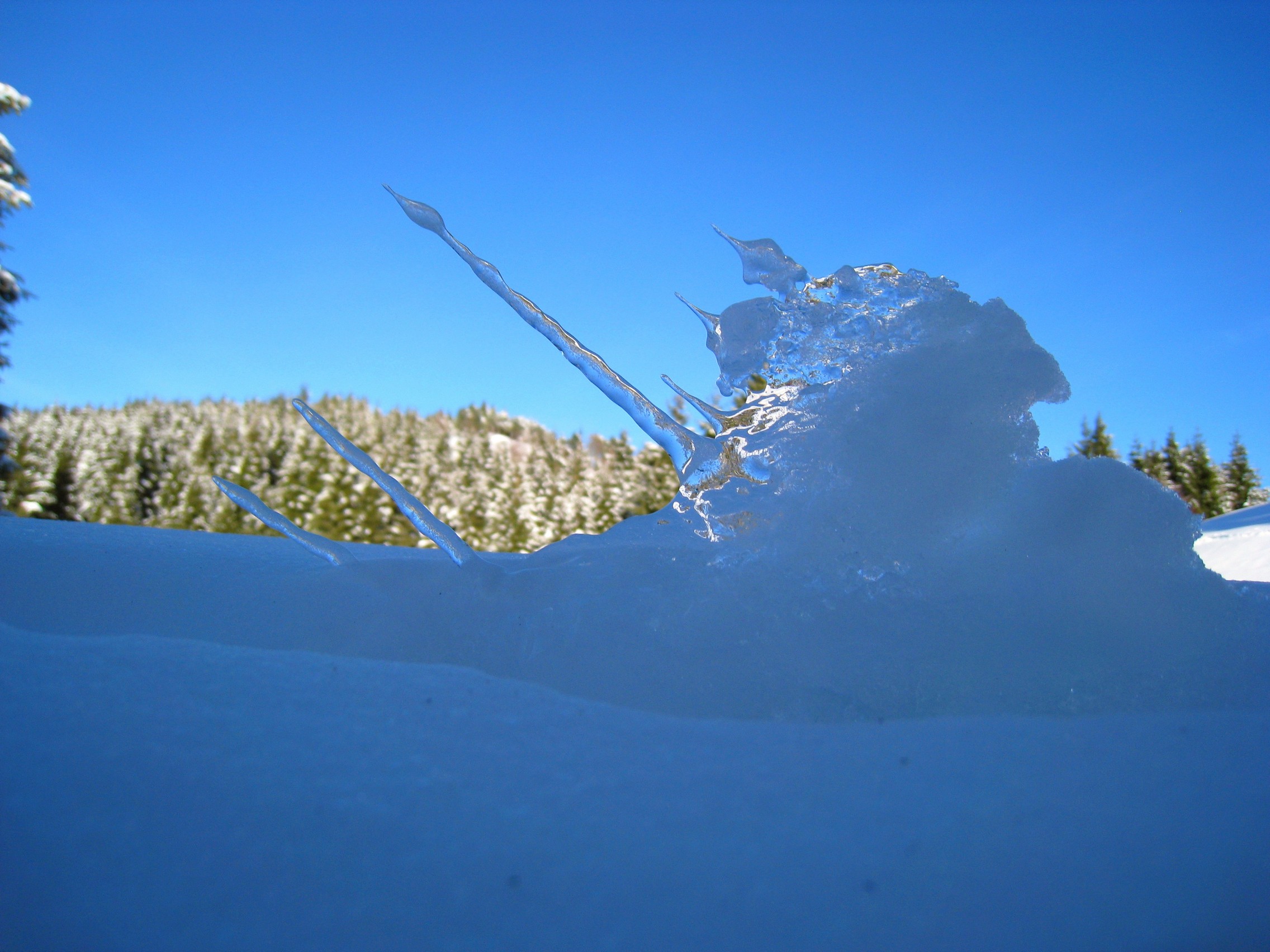 Ice sculpture designed by the wind