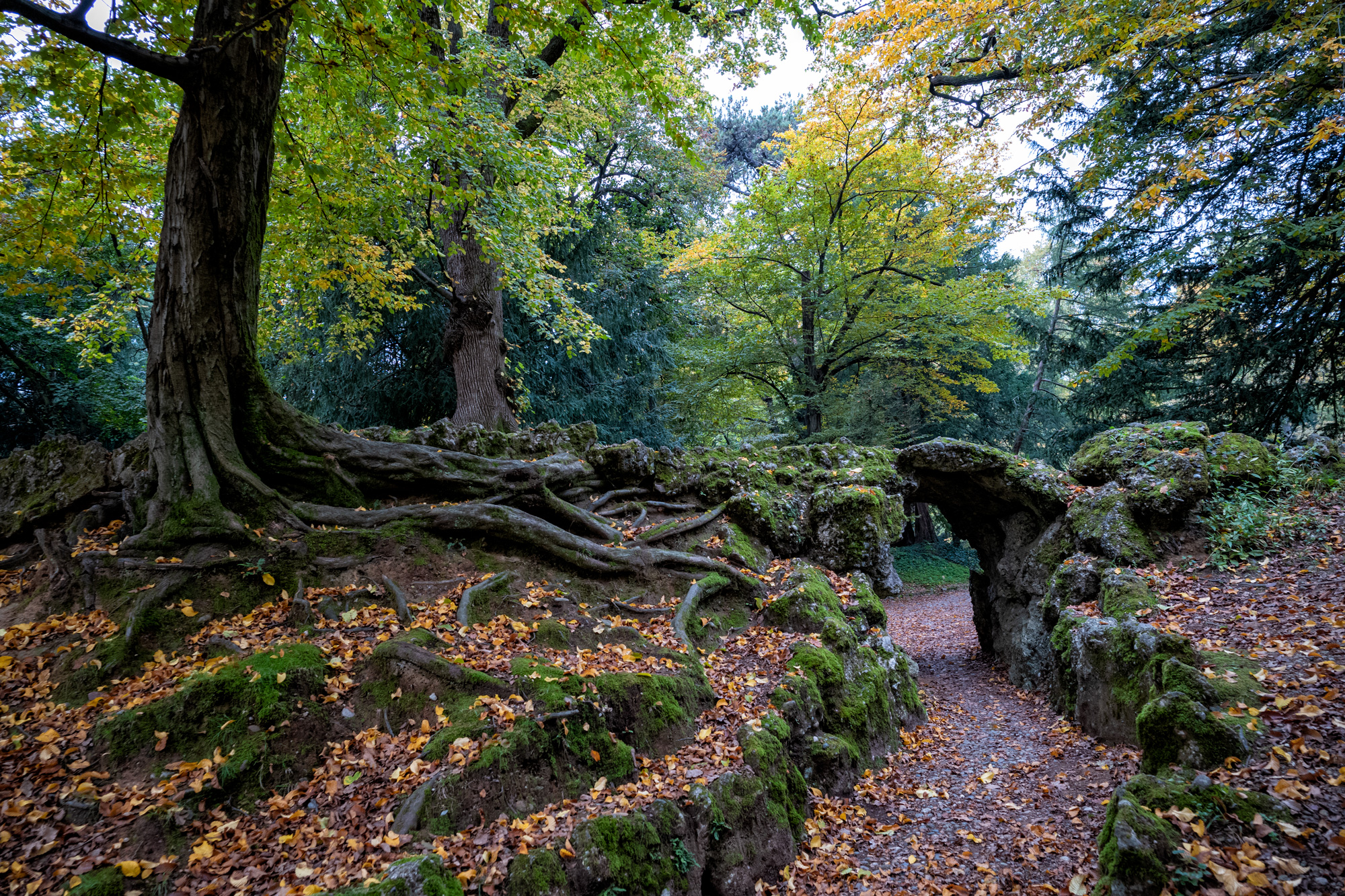Parco di Monza