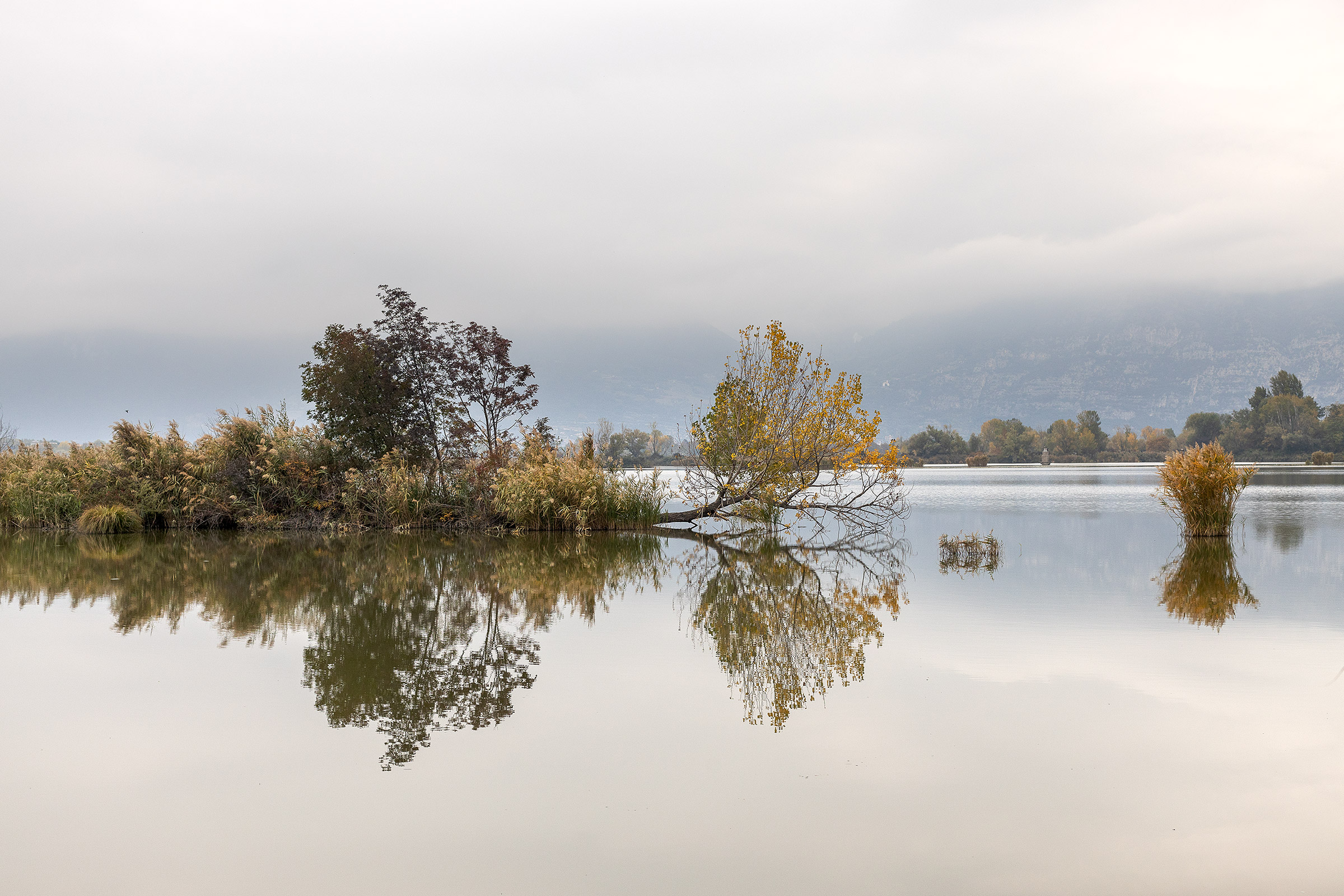 Le Torbiere del Sebino