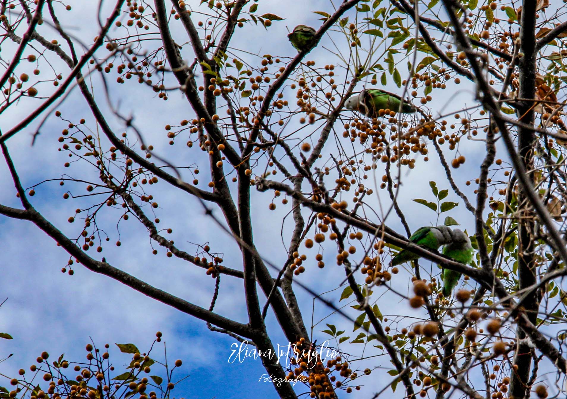 Inseparable from below