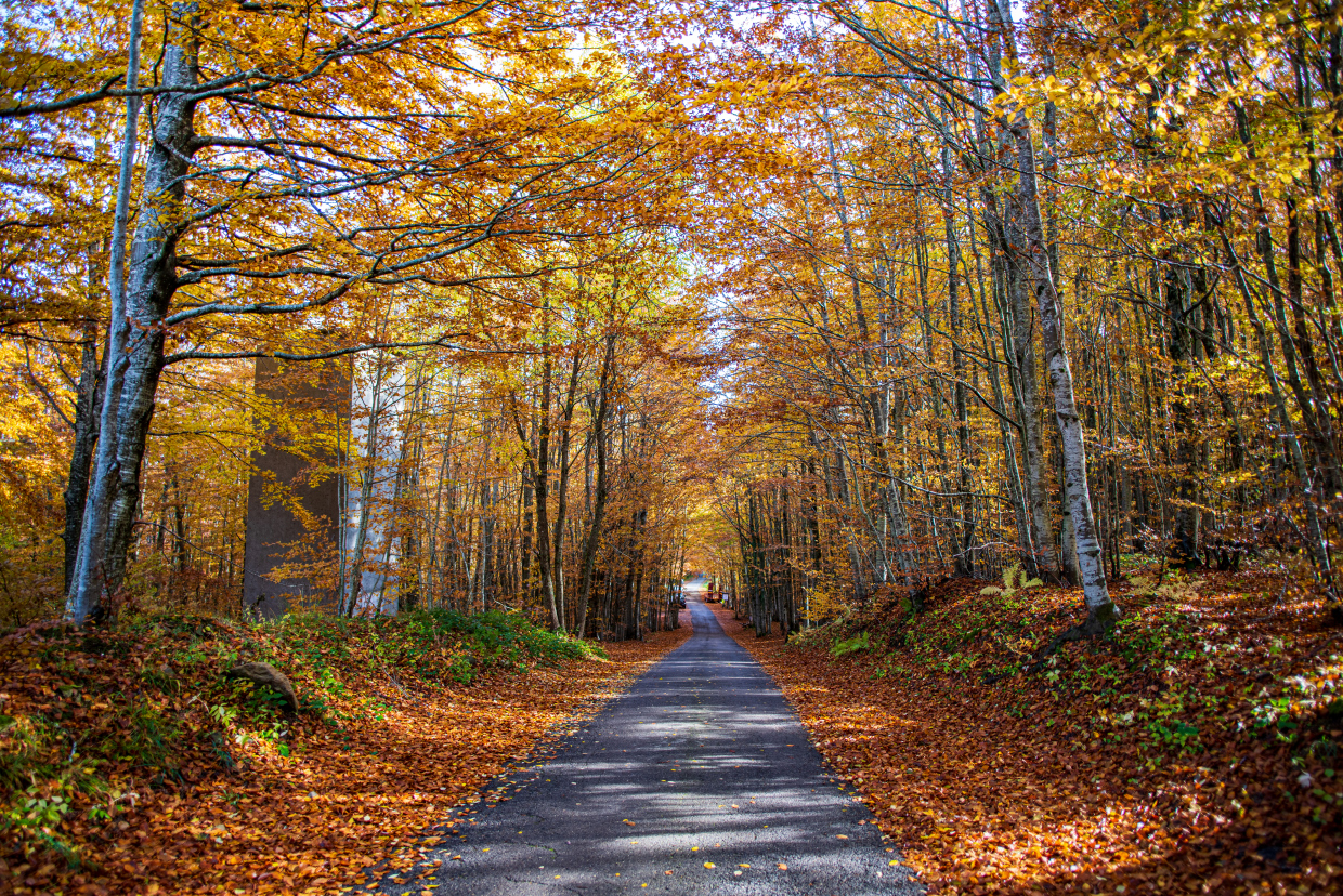 Valico del Cerreto. RE