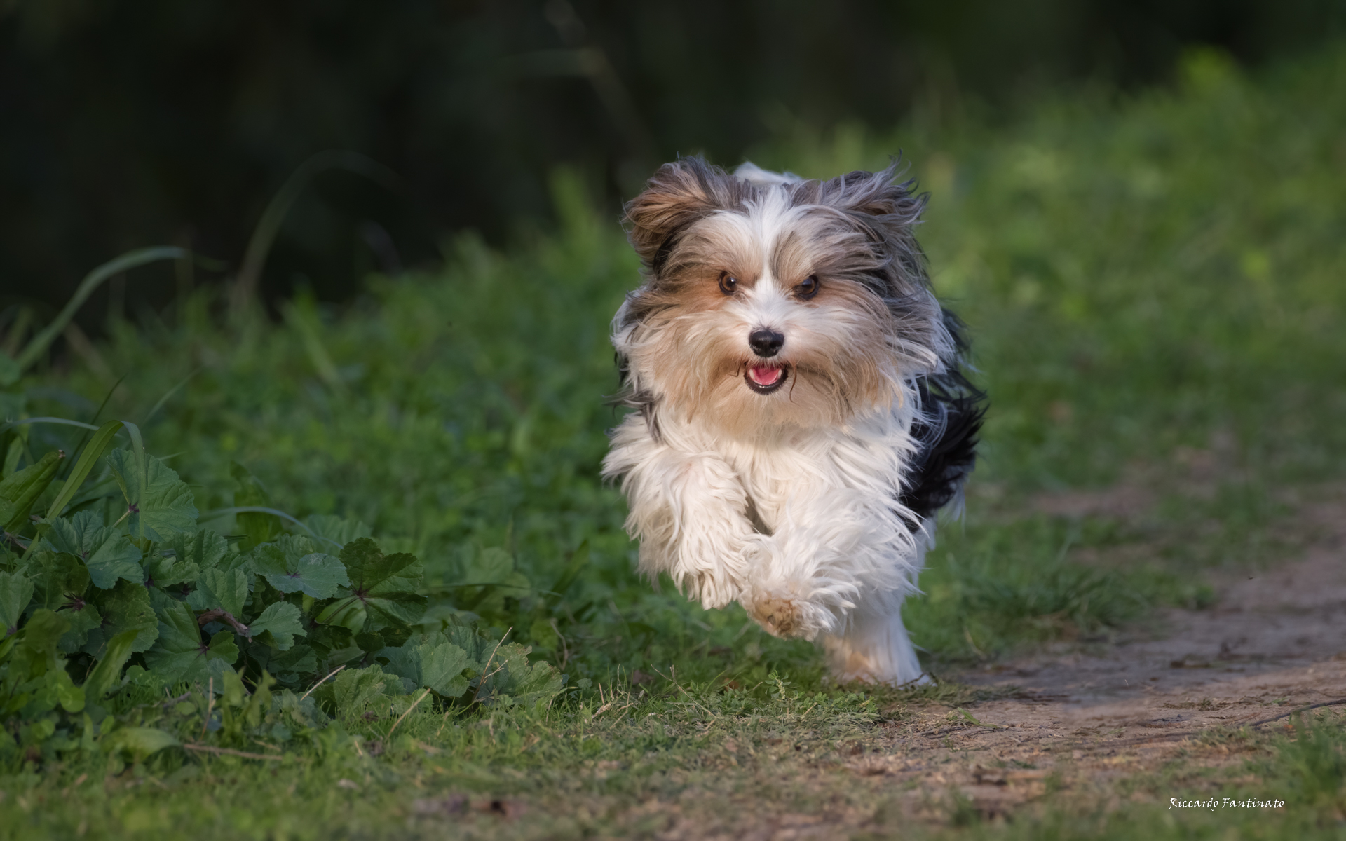 Super tenera Molly  :)