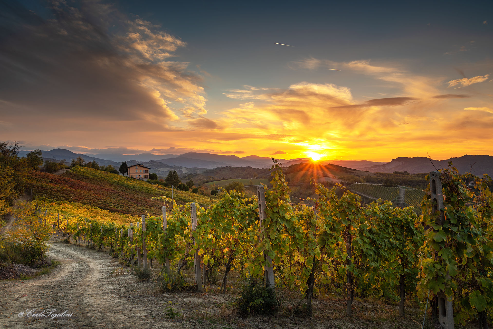 Tramonto sui vigneti