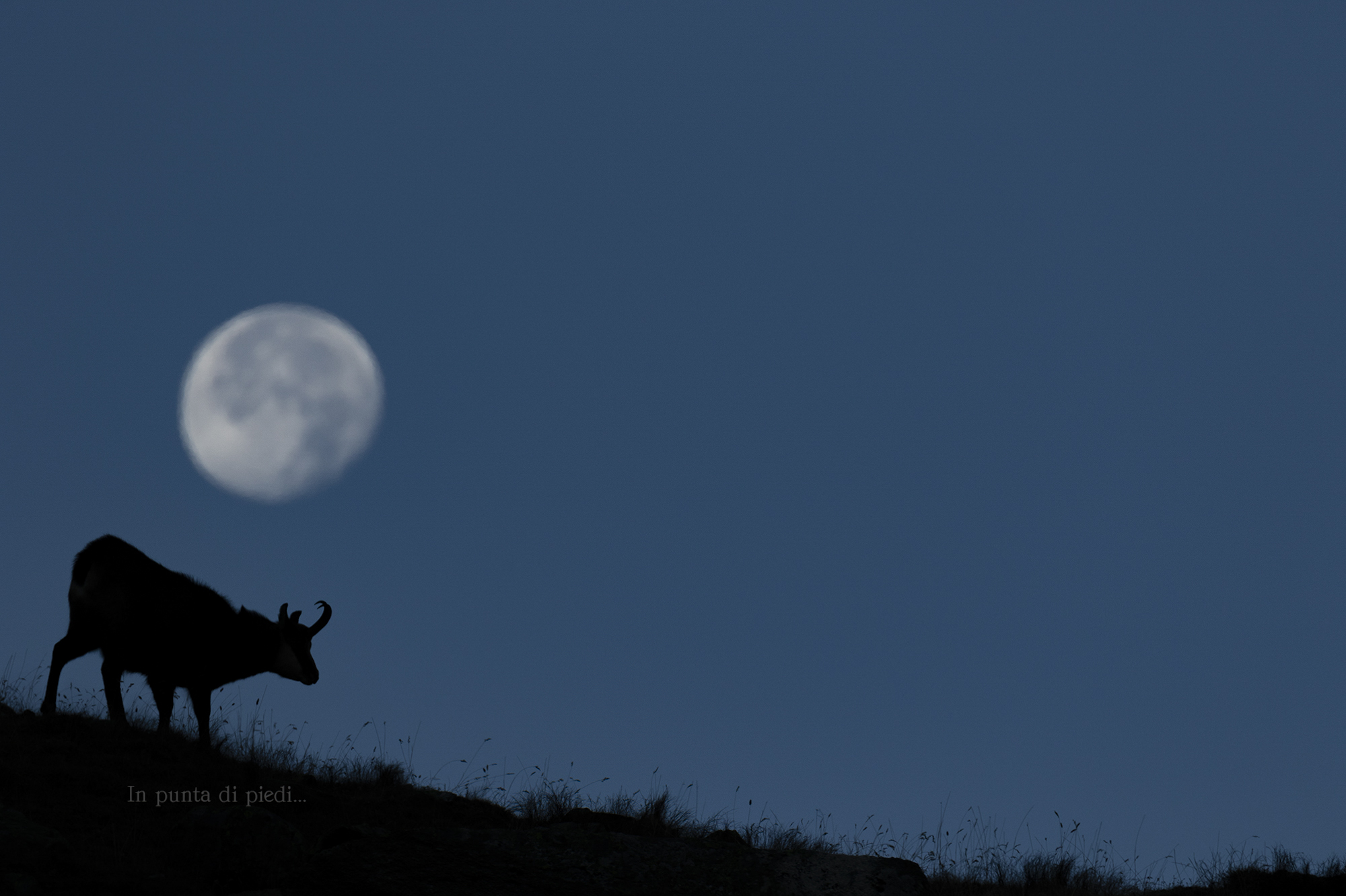 the hours of the (full) Moon...