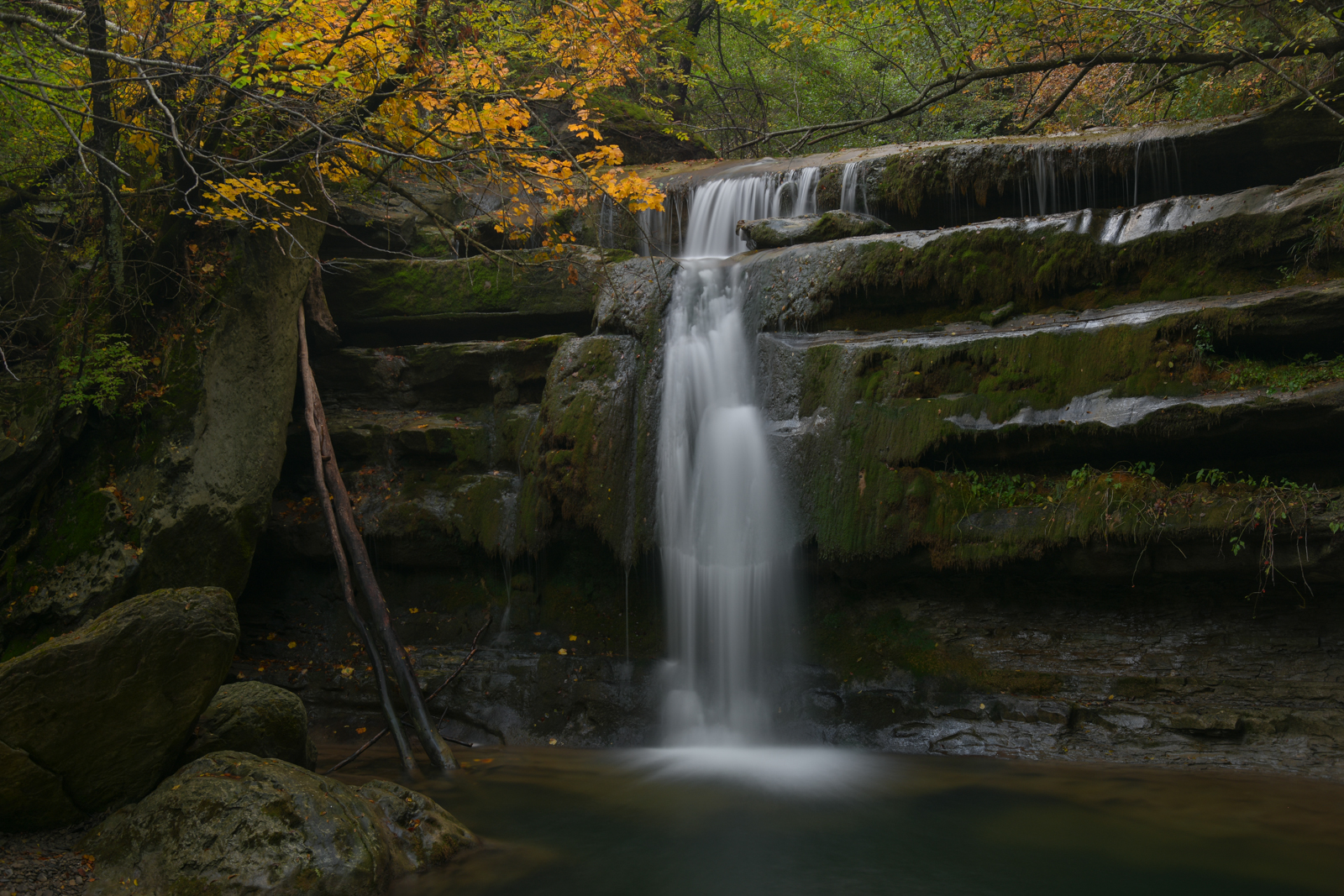 Casentino Forest, Acquacheta