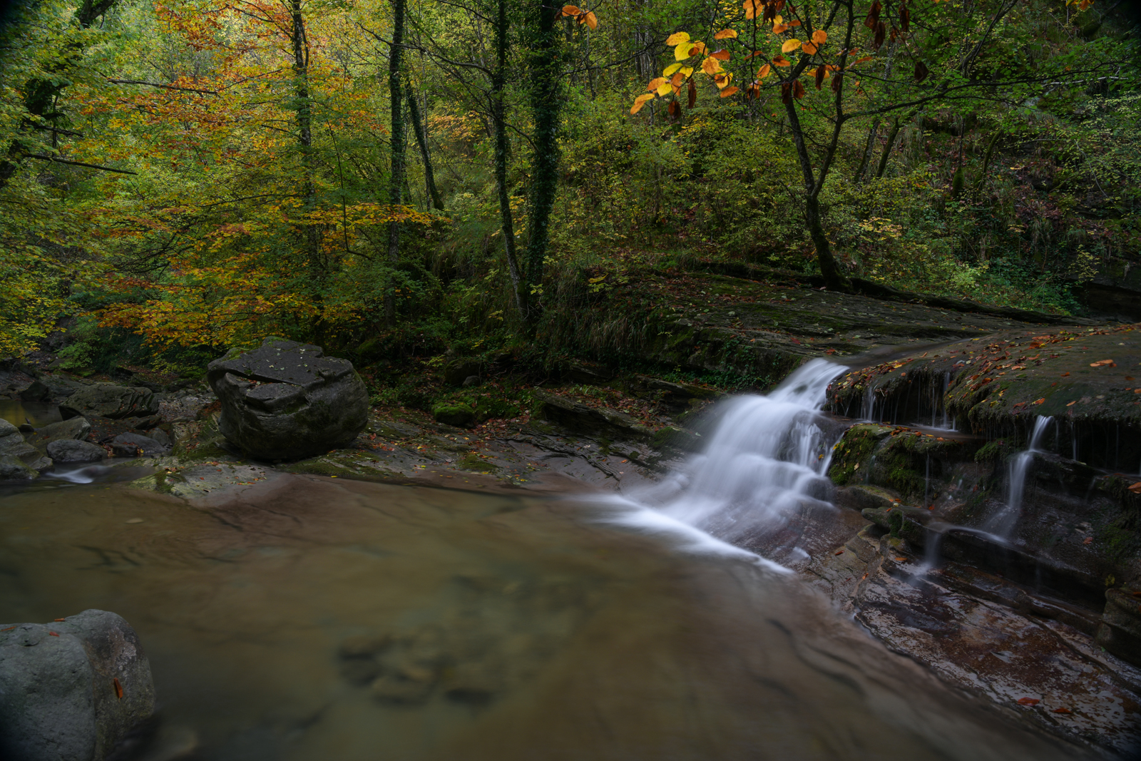 Casentino Forest, Acquacheta_2