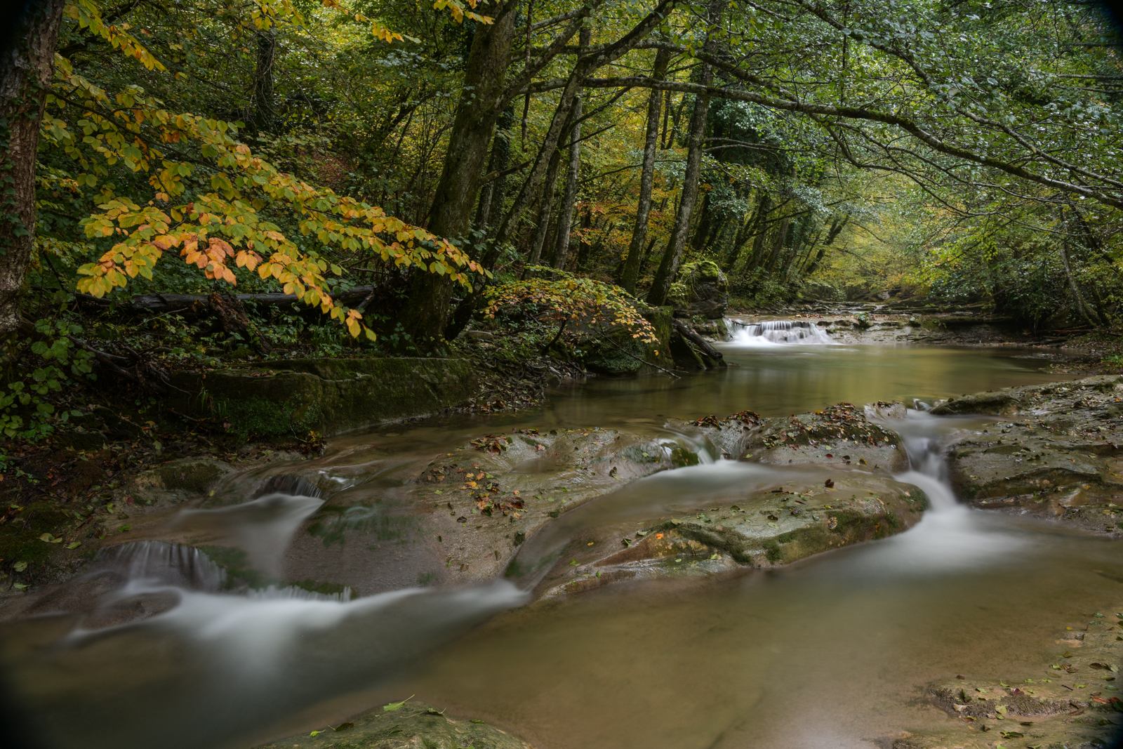 Casentino Forest, Acquacheta_3