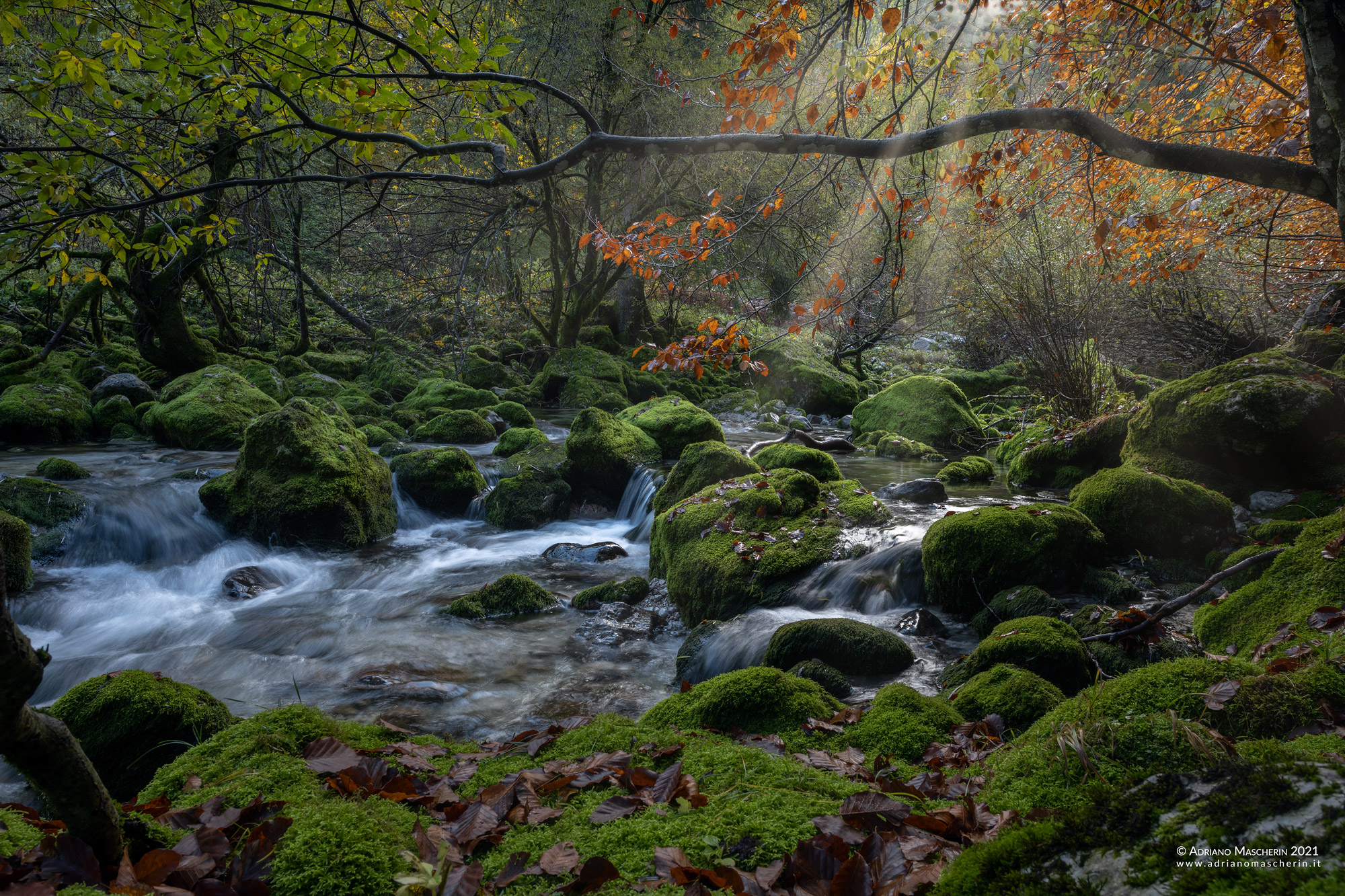 Luci e colori sul rio Barman