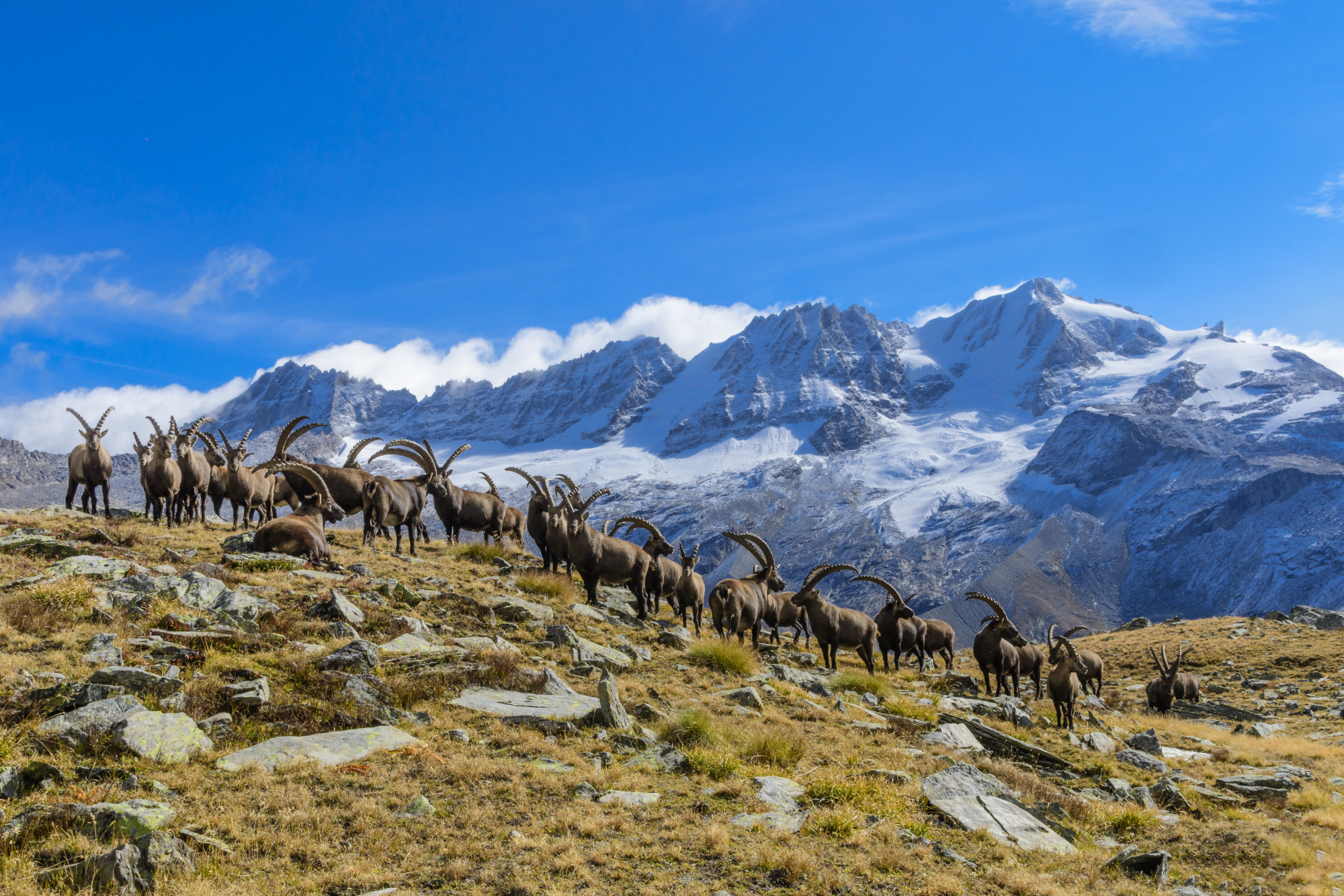 Tranquillità al cospetto del Granpa