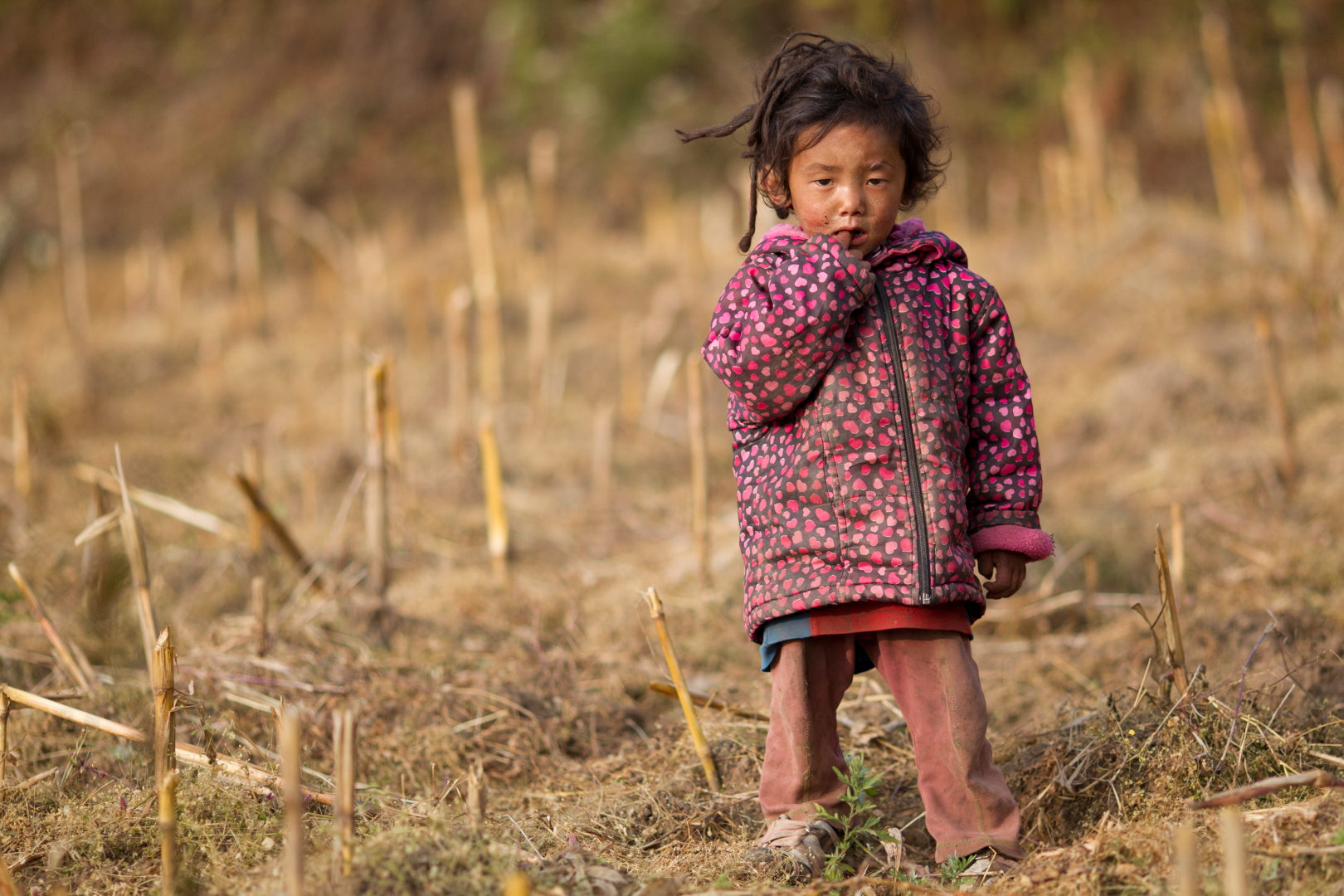 Népal - November 2012