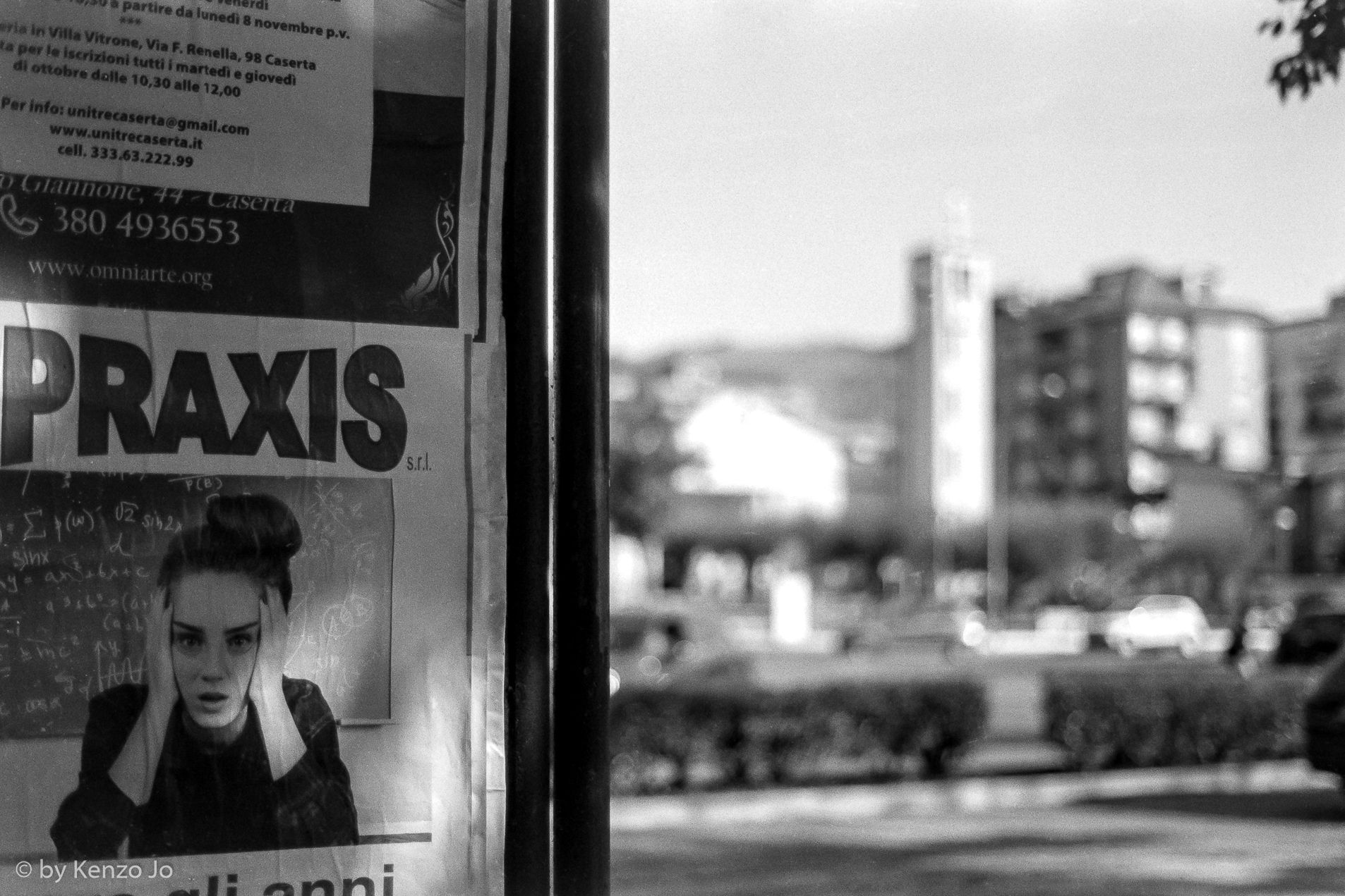 Caserta - felled trees and new urban cements