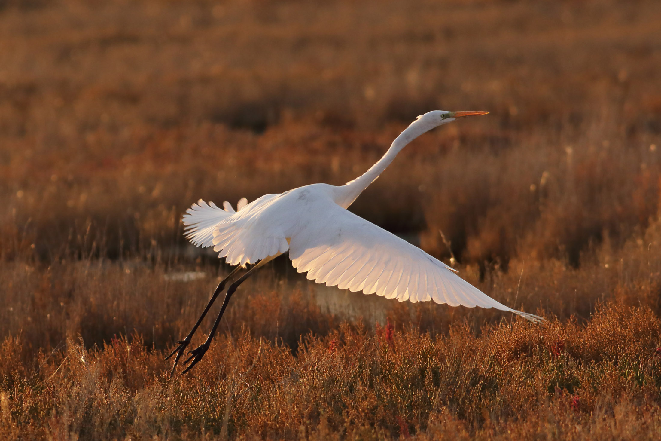 It's late, I'm leaving