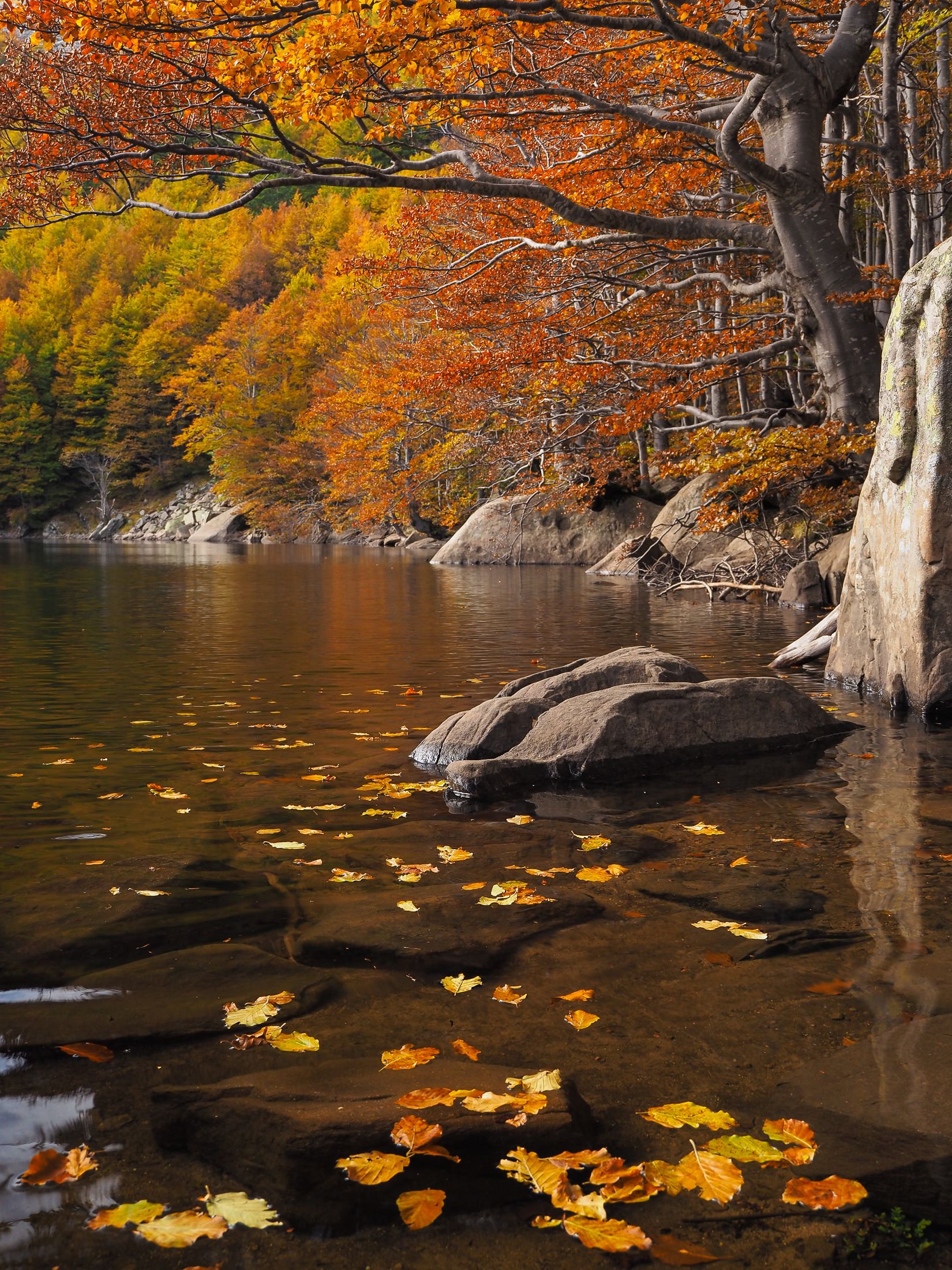 Lago Scuro in veste autunnale