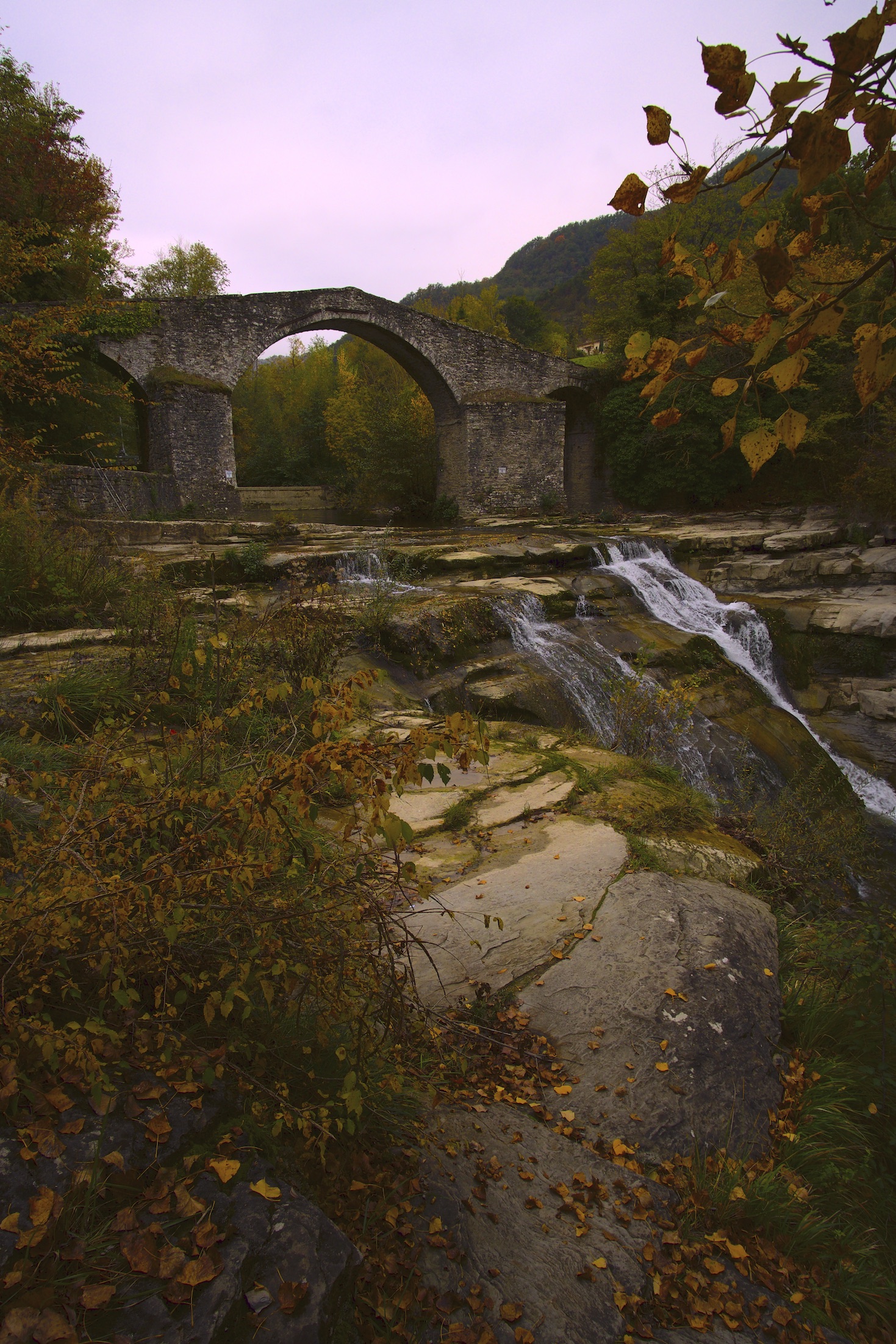 A soft autumn afternoon