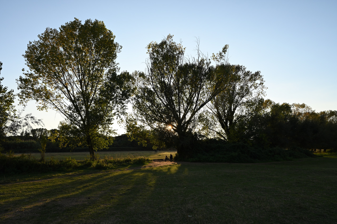 Raggi filtrati al tramonto