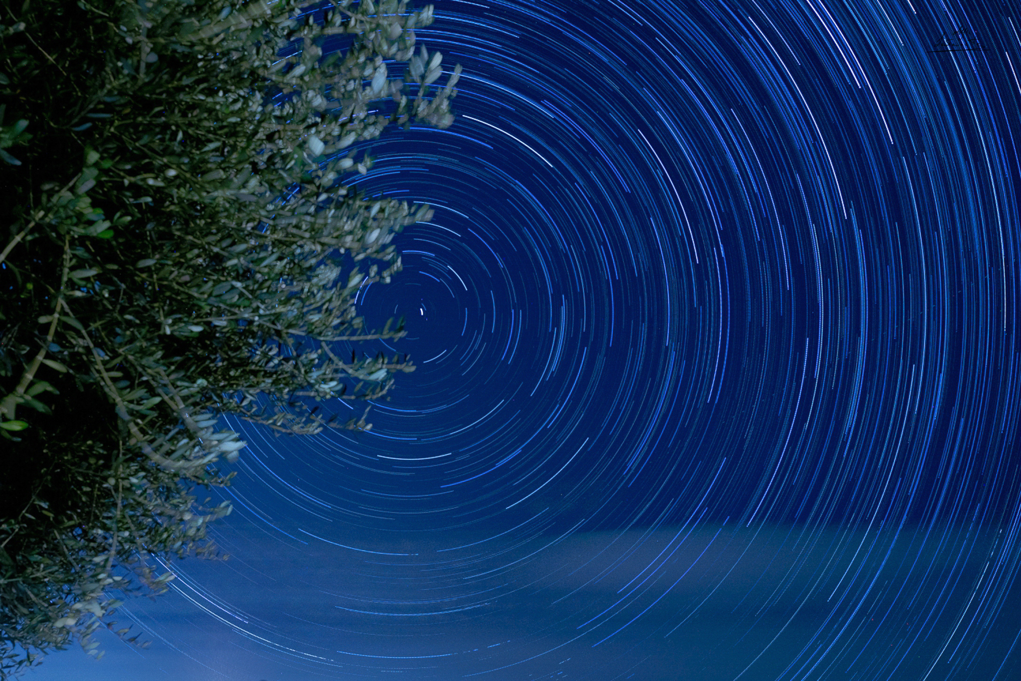 Star Trails