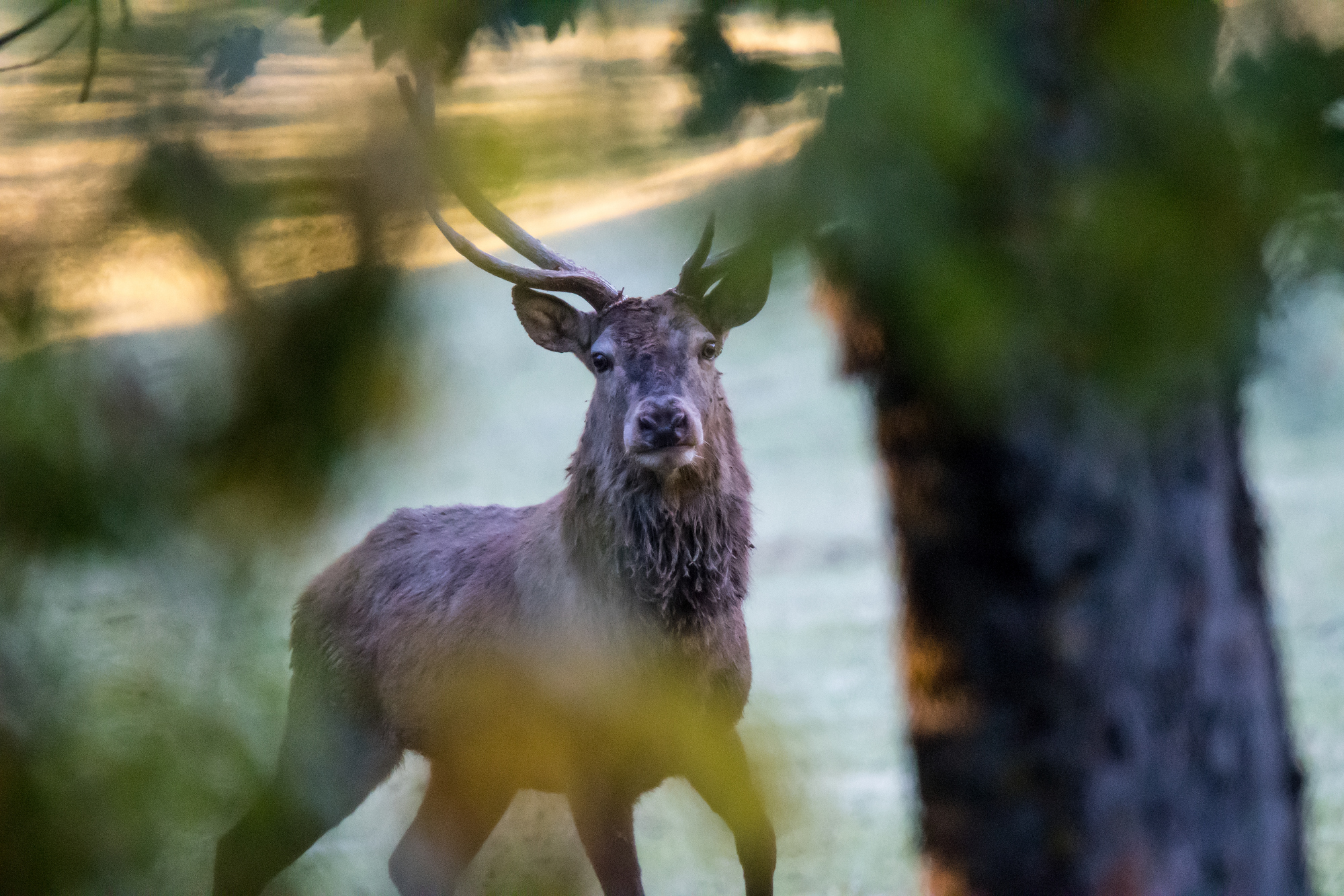 When you think you are not seen!!