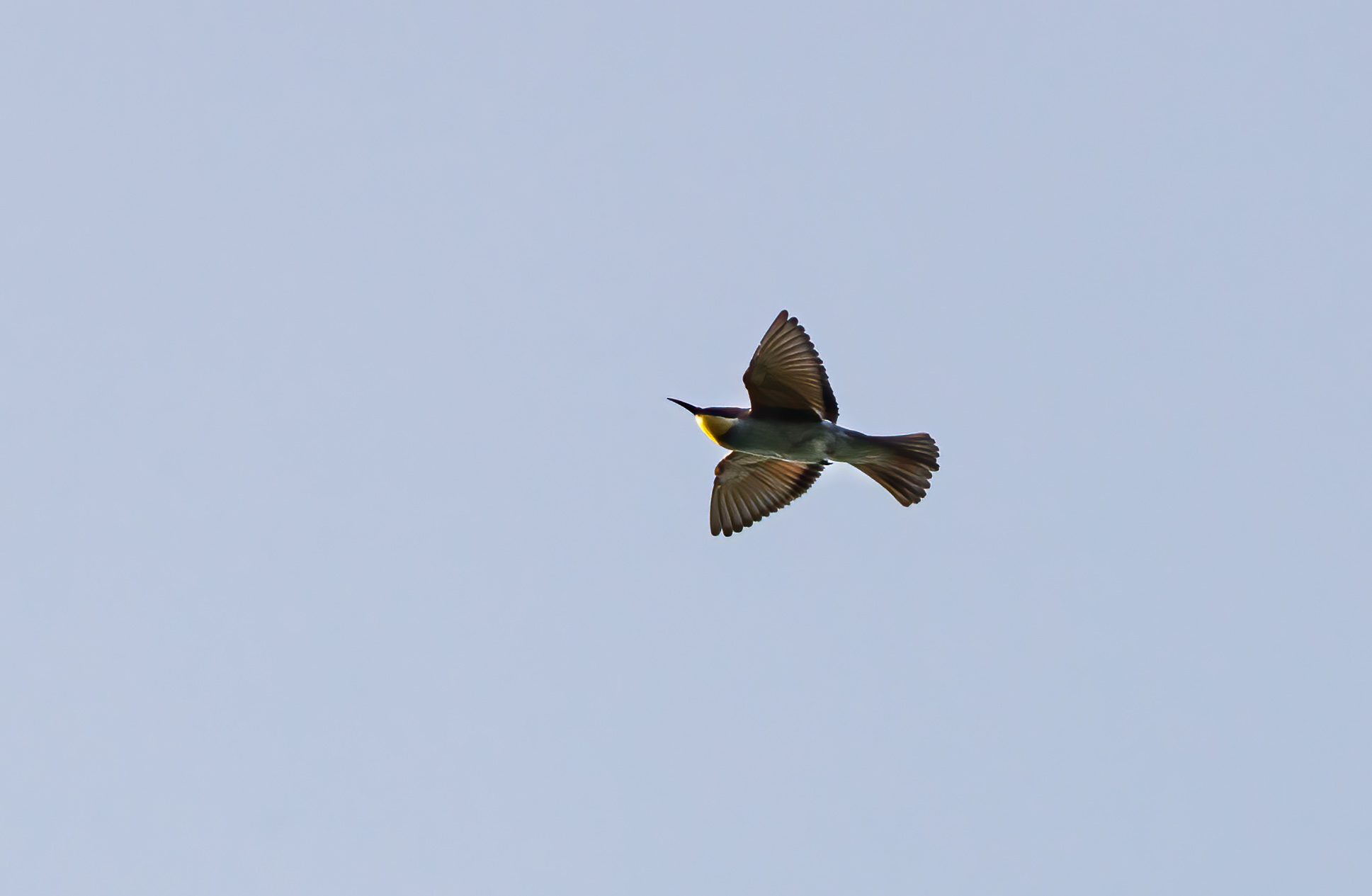 in flight