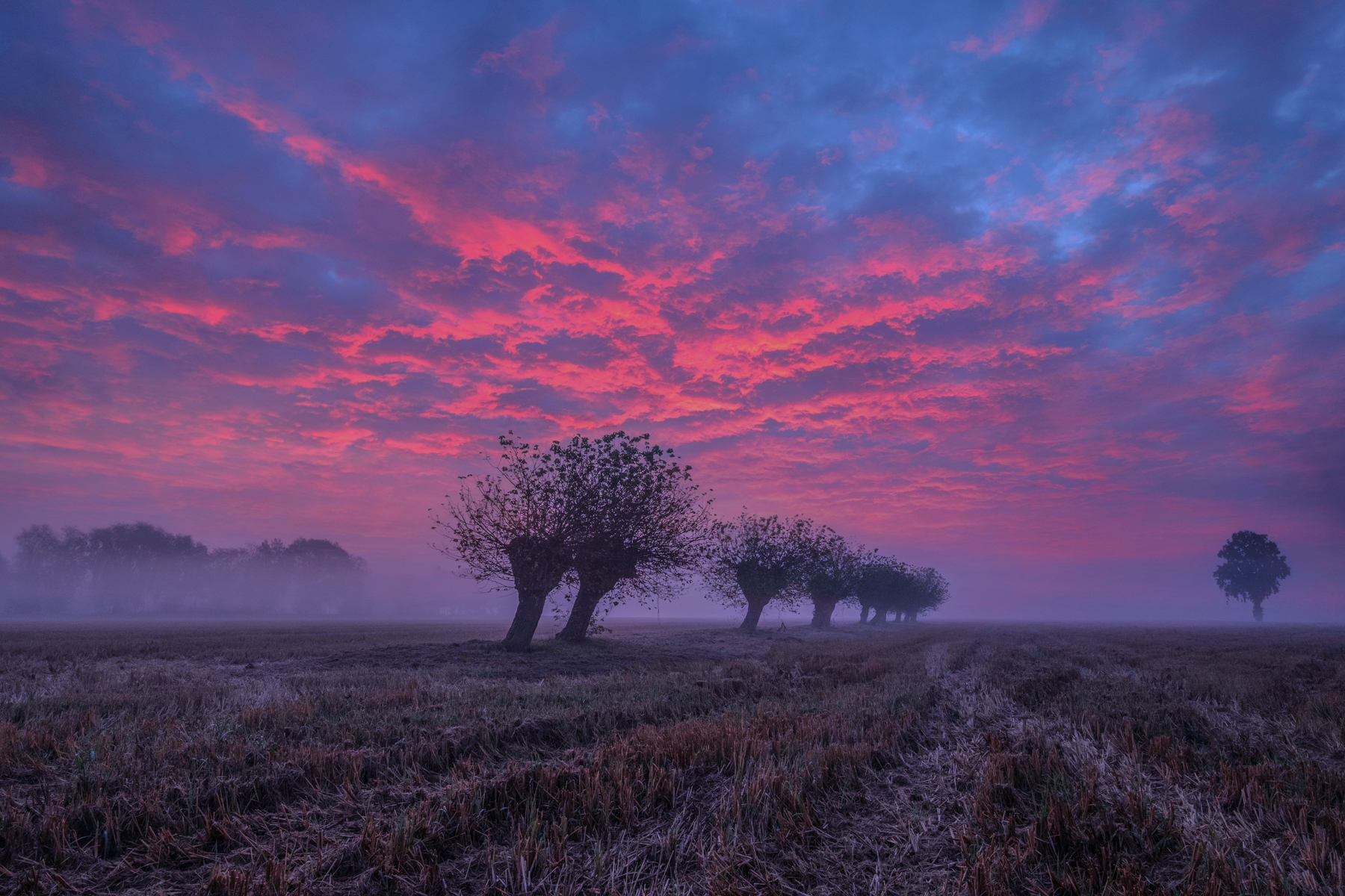 Monday 25 October spectacular sky in lomellina