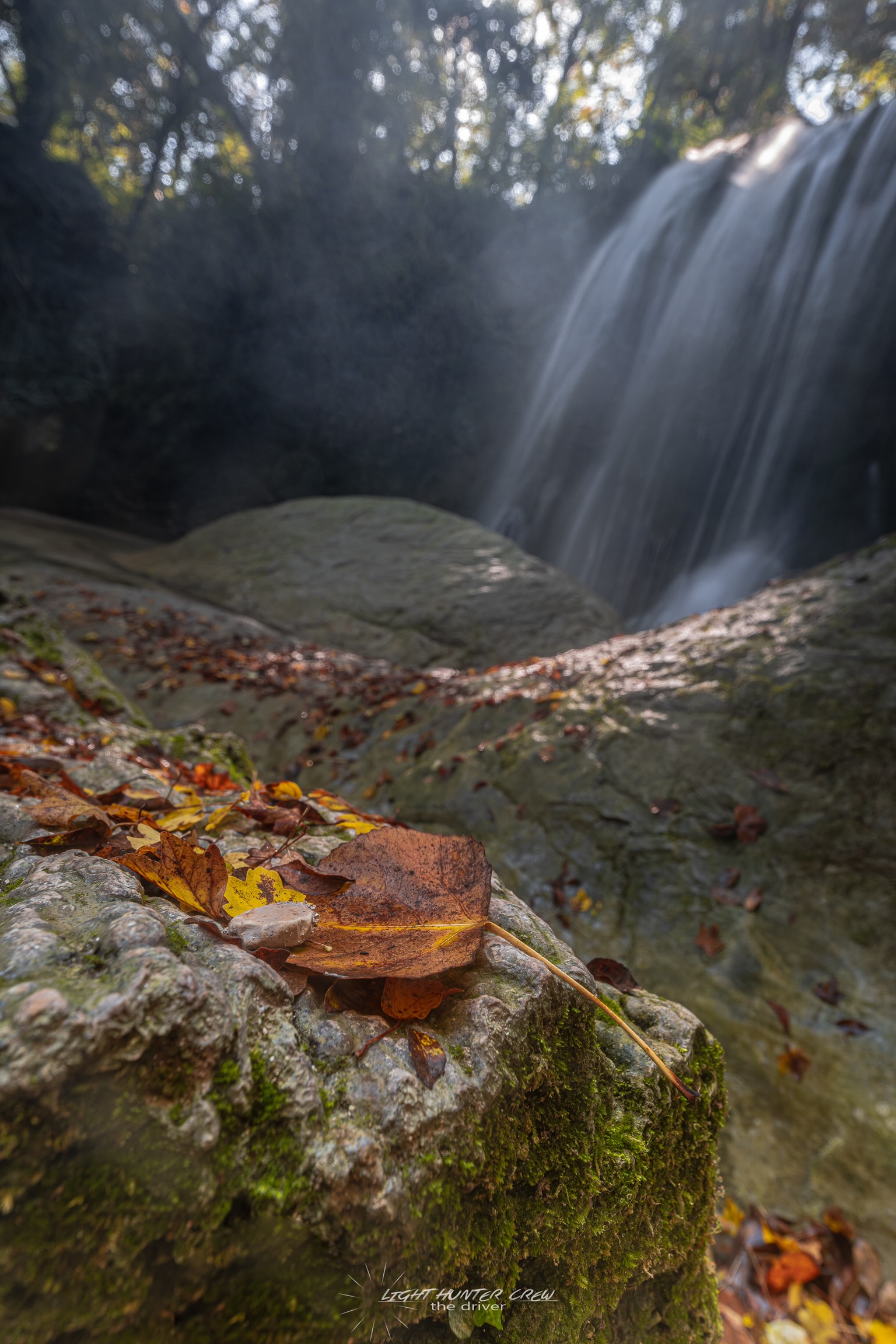 Autumn details in Sarnano