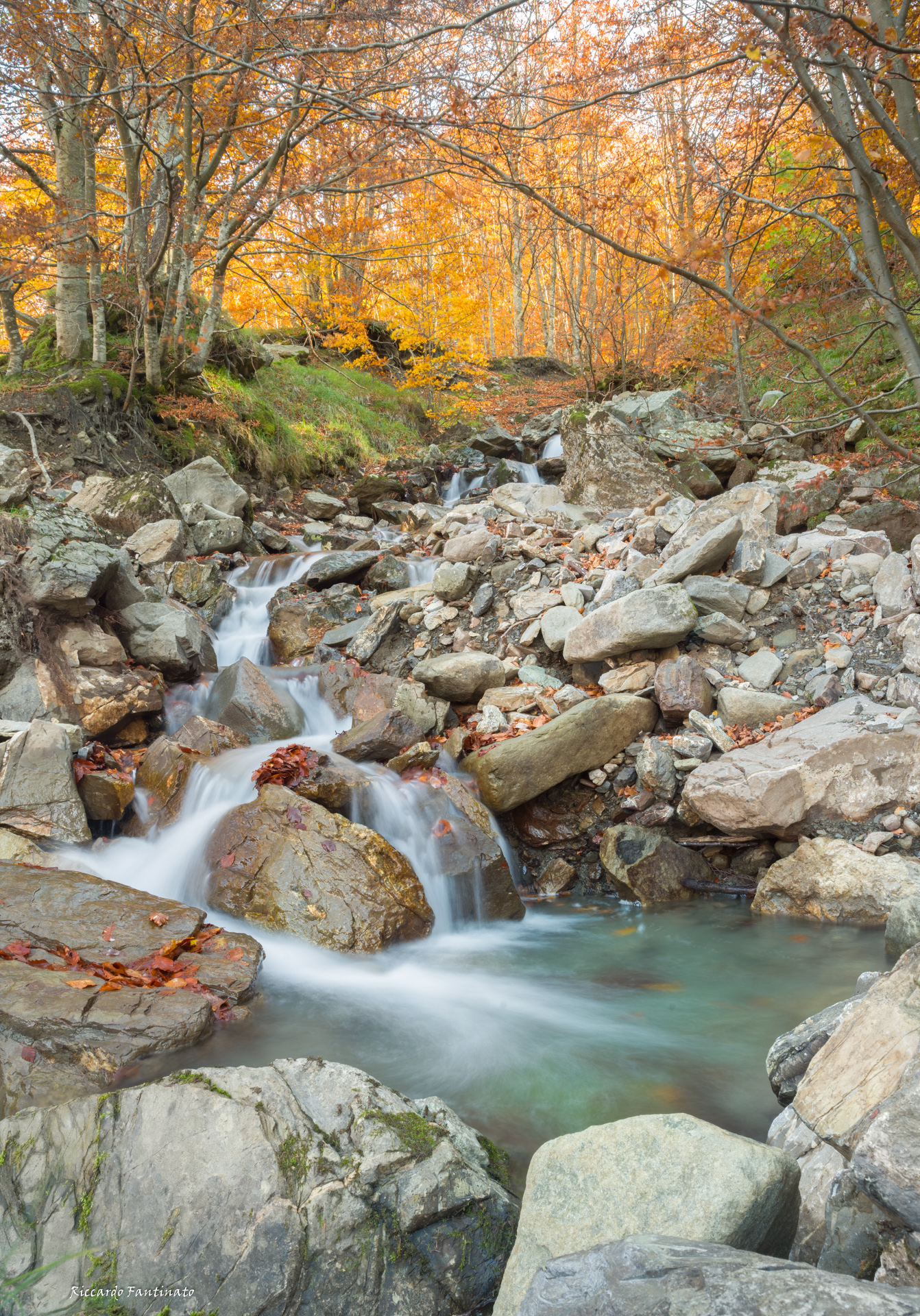 ruscello in autunno