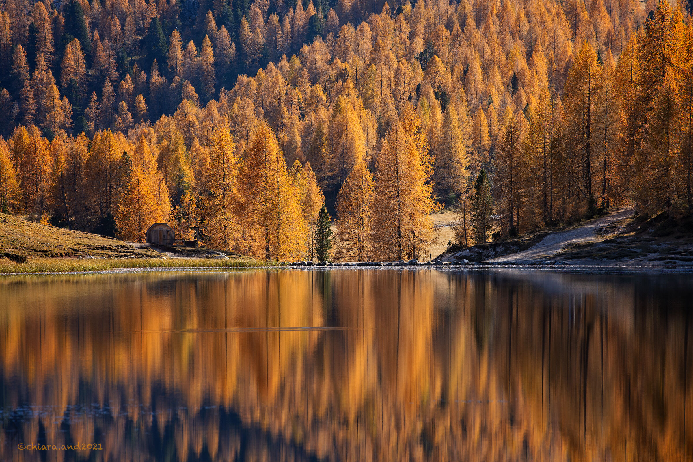 Per chi ama i Colori ....