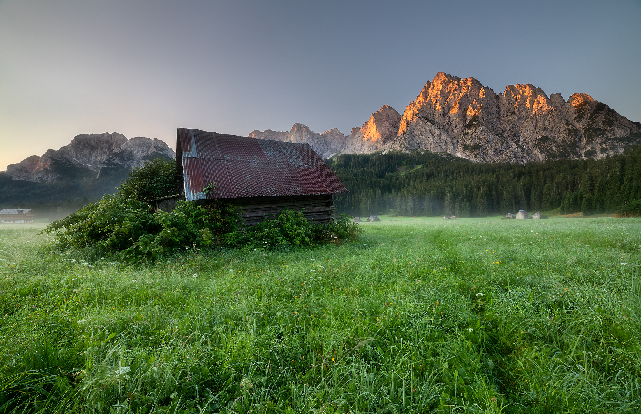 alba