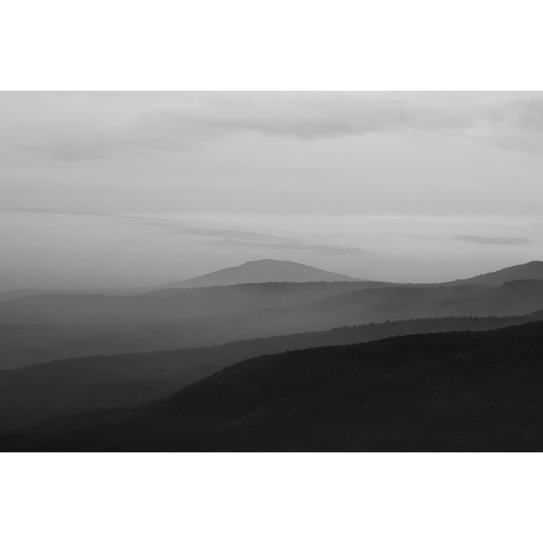 Untitled Photo