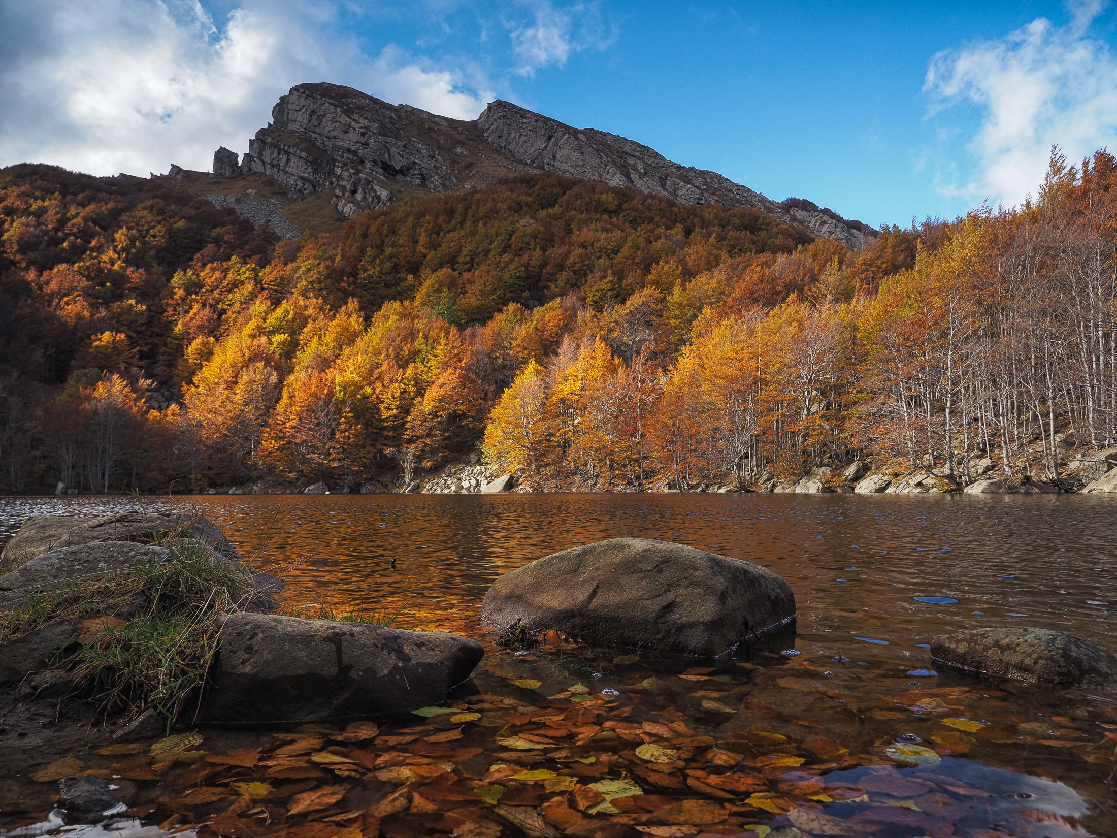 Semplicemente autunno
