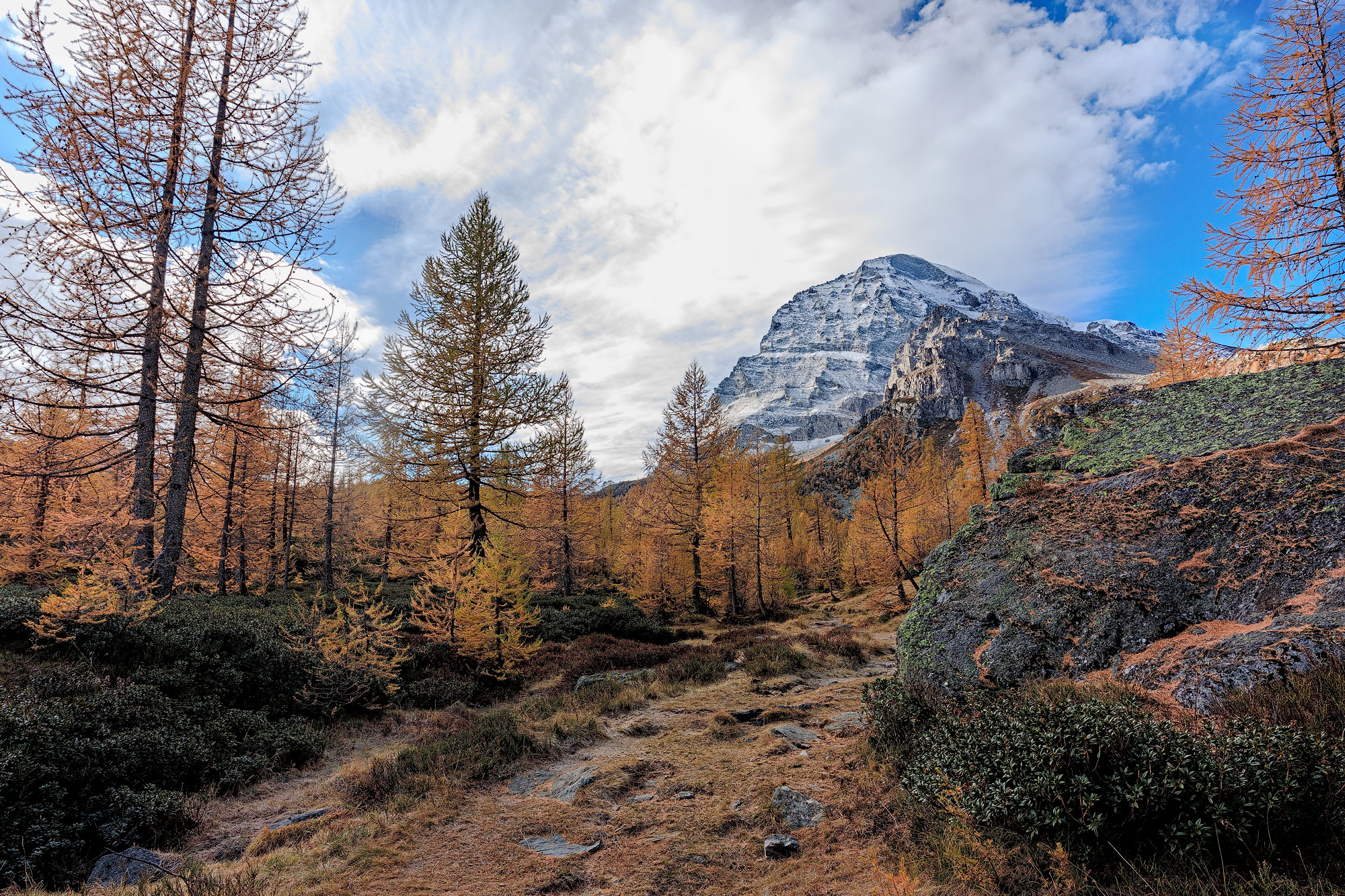 Mount Leone