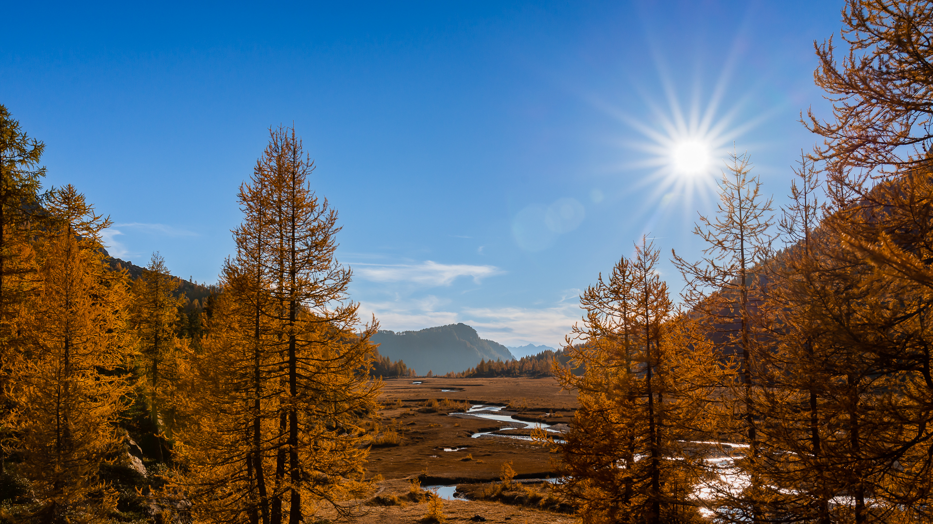 Red Prey @ Valmasino