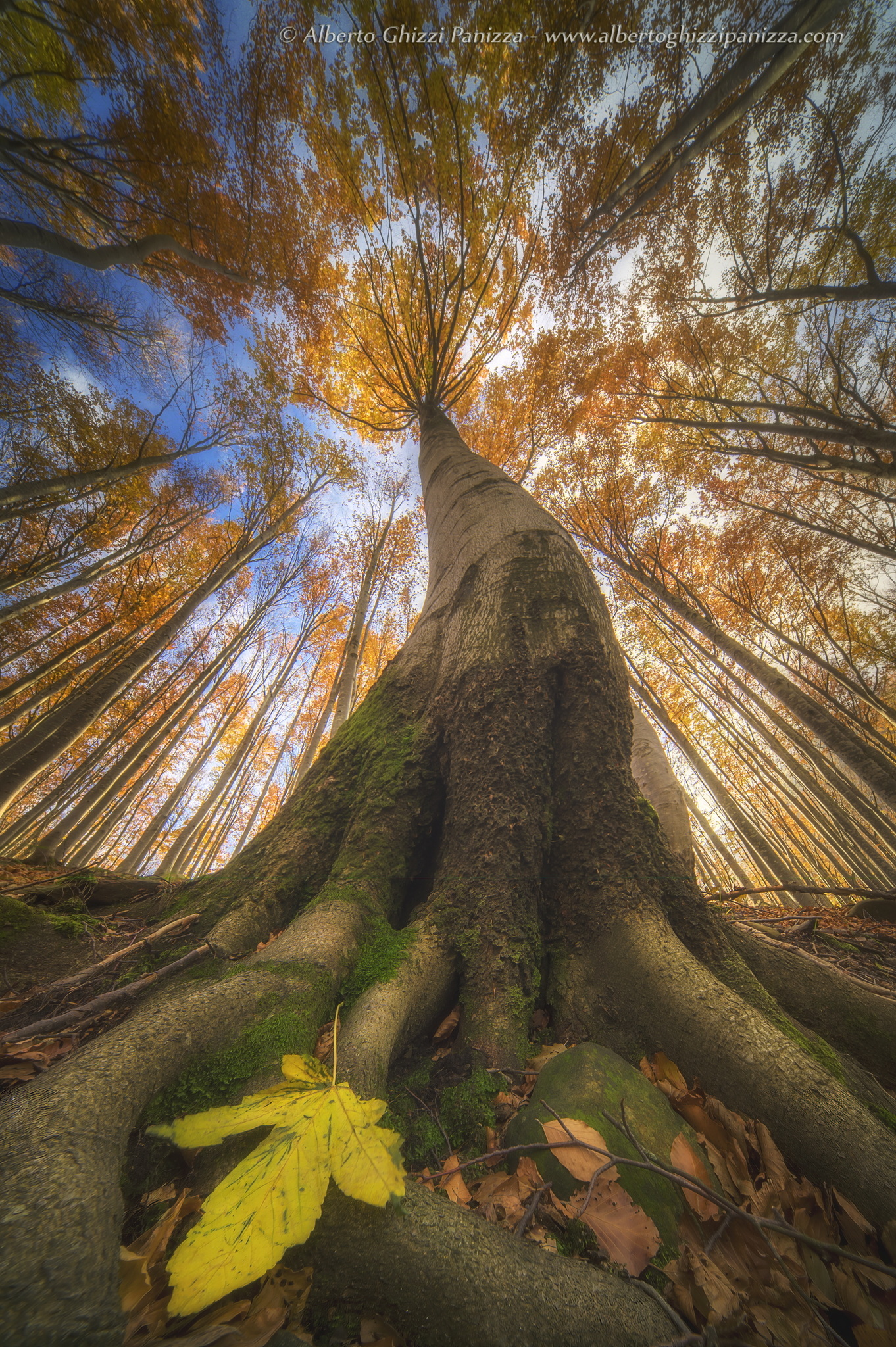 I colori che amo dell'autunno