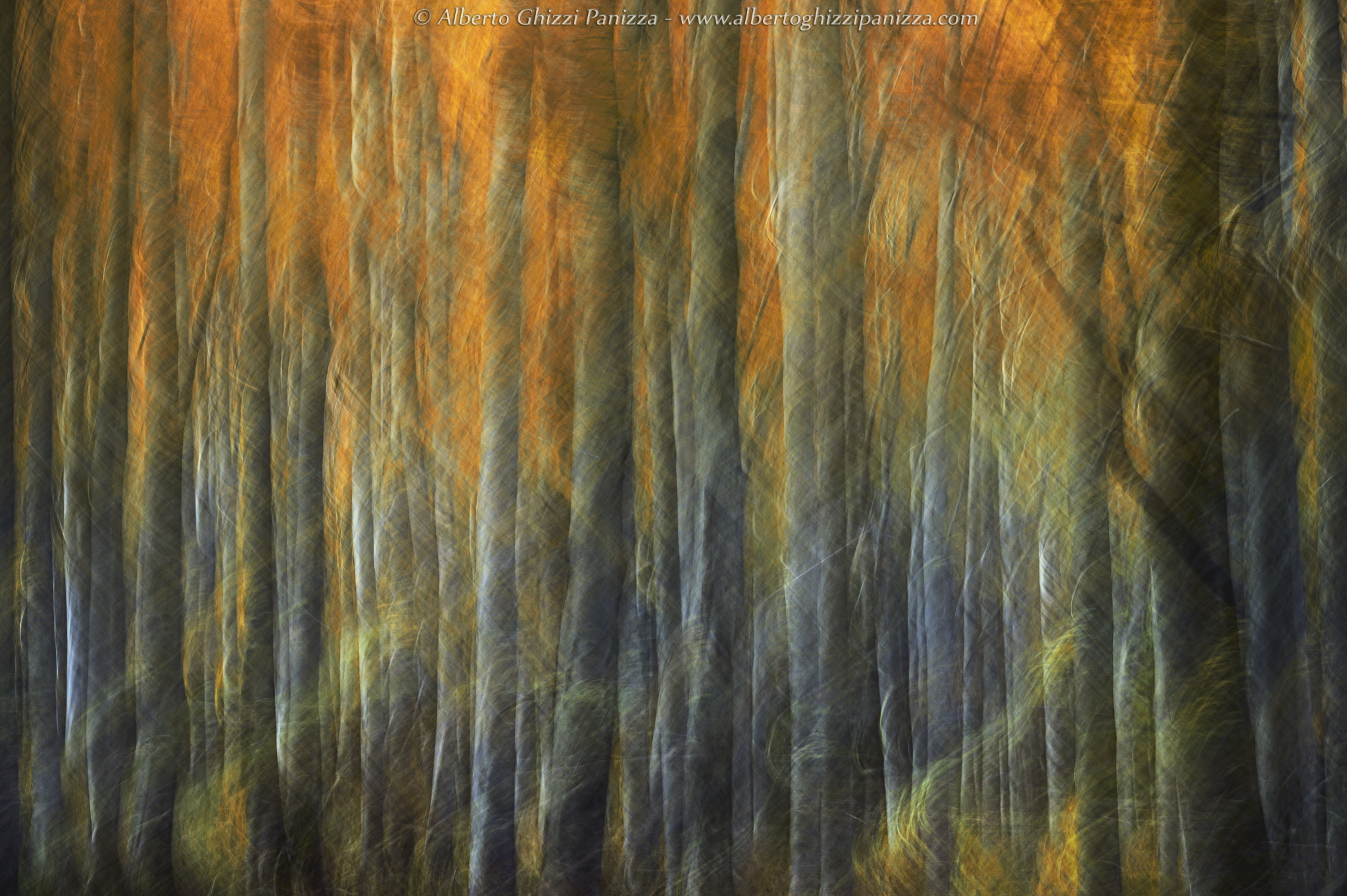 The colors I love of autumn #3