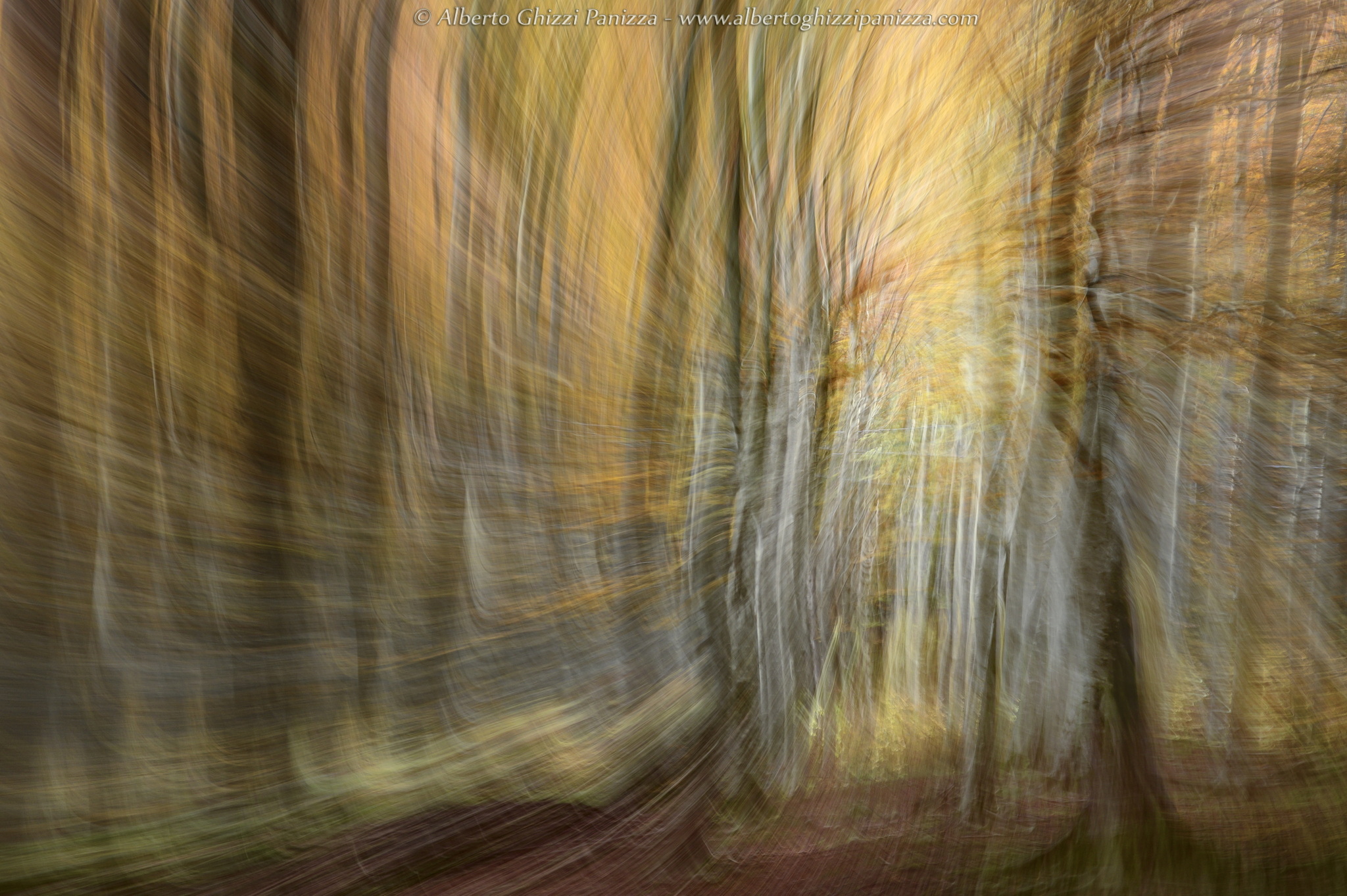 I colori che amo dell'autunno #4