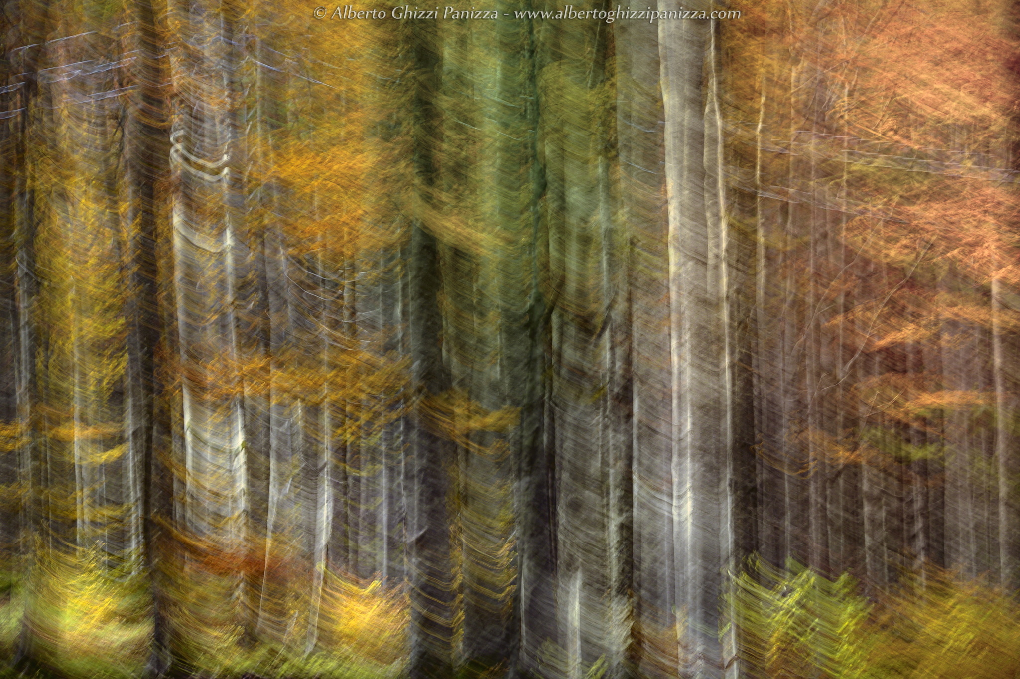 I colori che amo dell'autunno #5