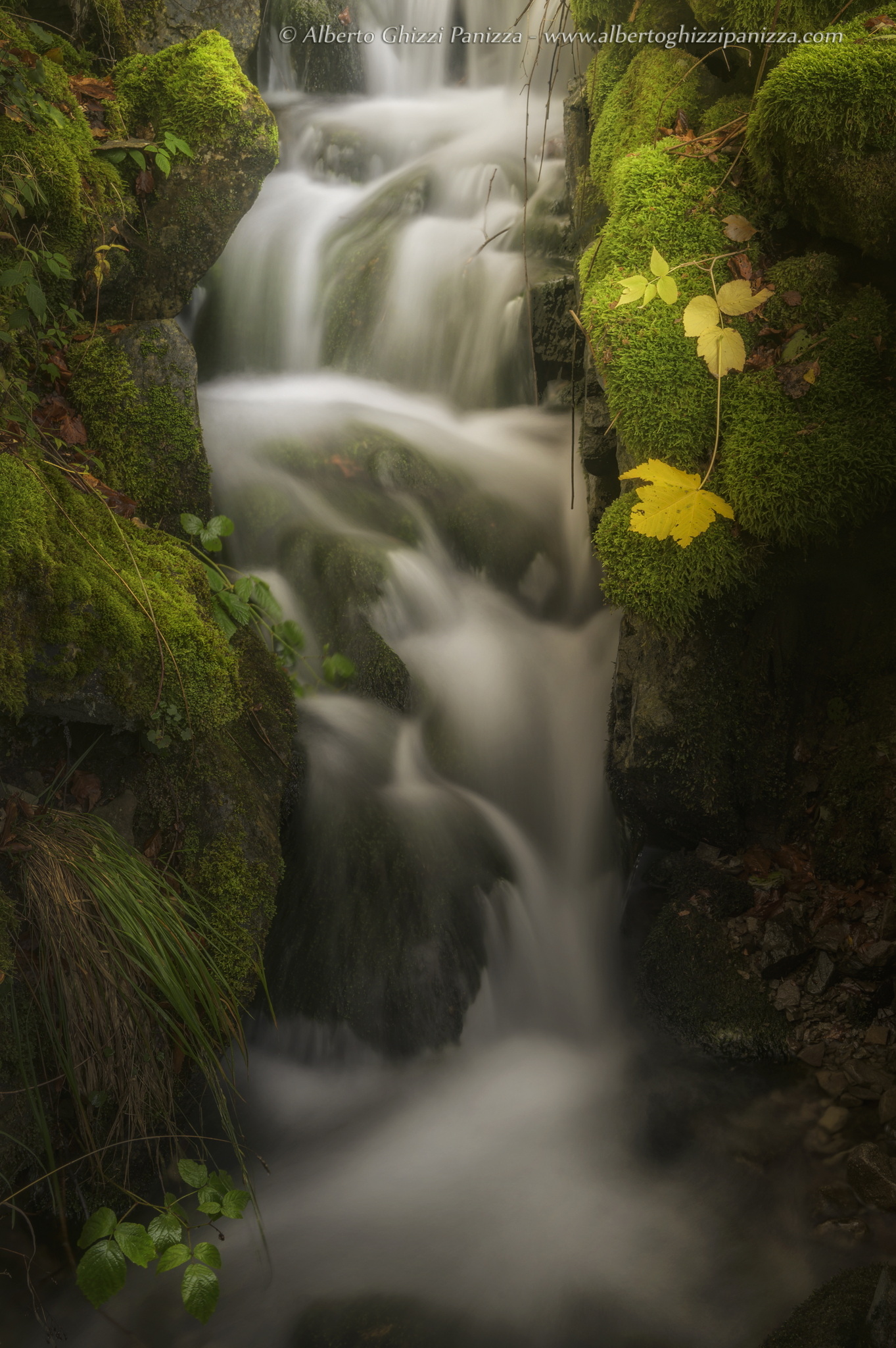 I colori che amo dell'autunno #6