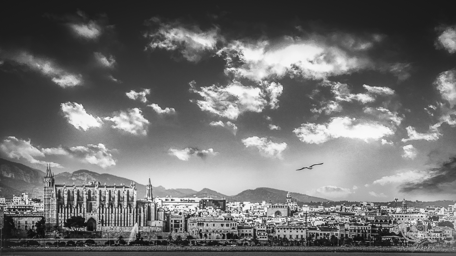 Palma, Dal mare