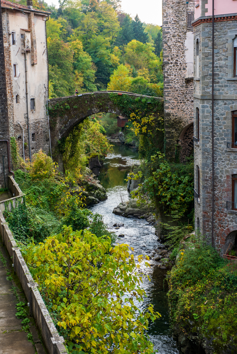 Bagnone