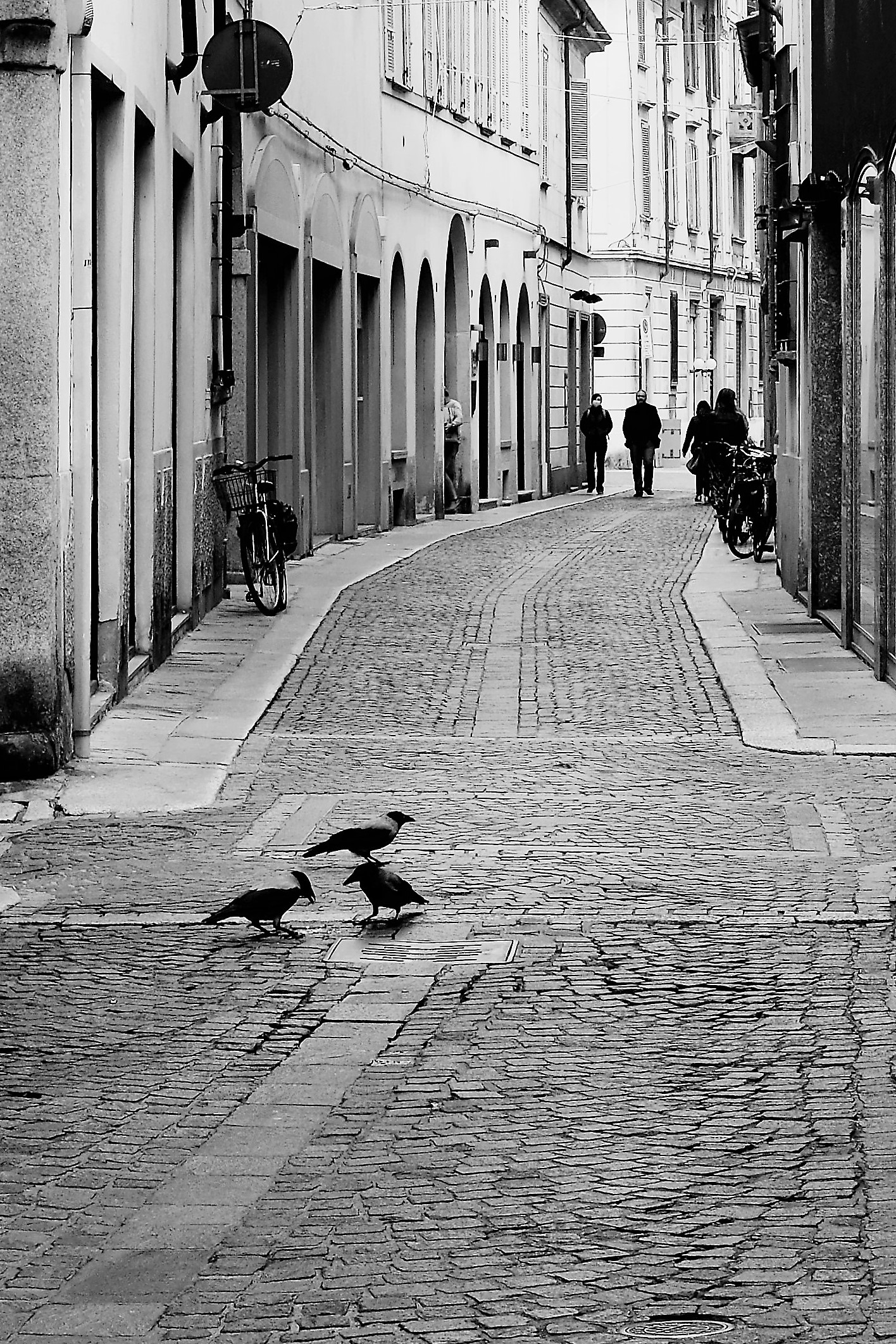 halloween is contagious