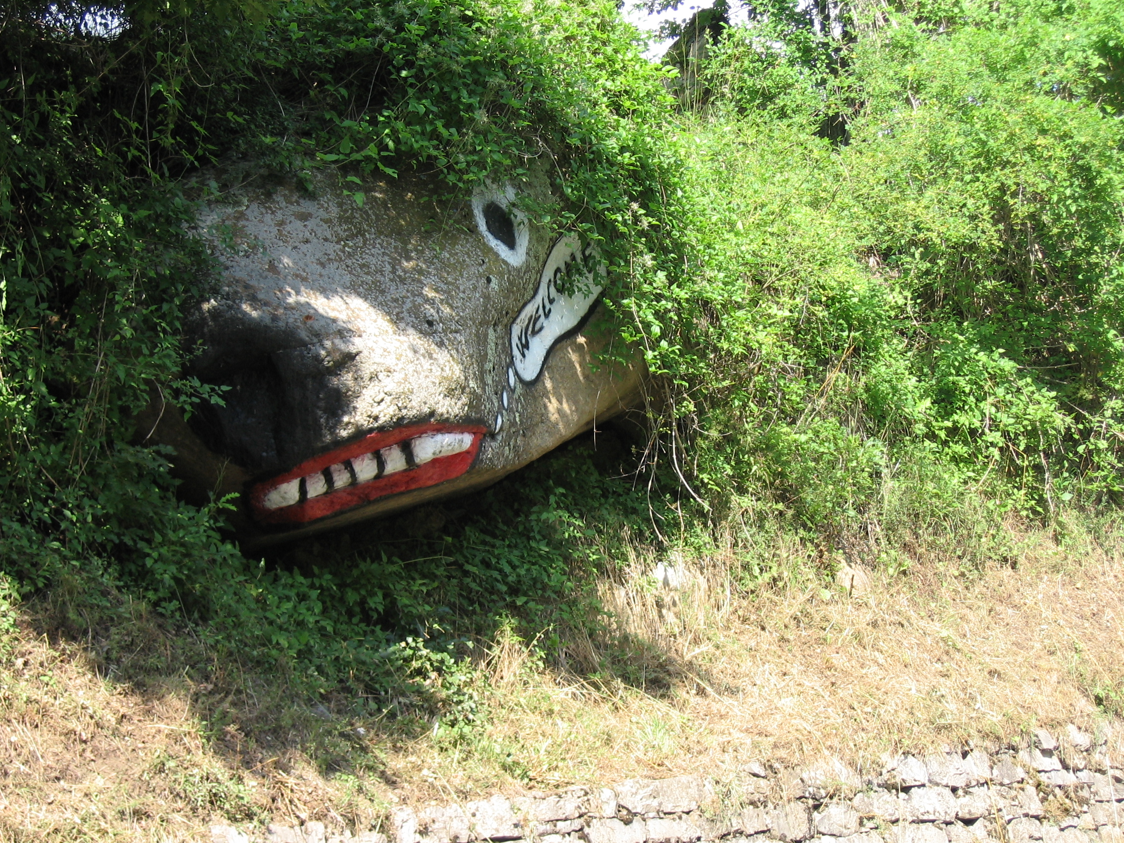 On the way to Albicella