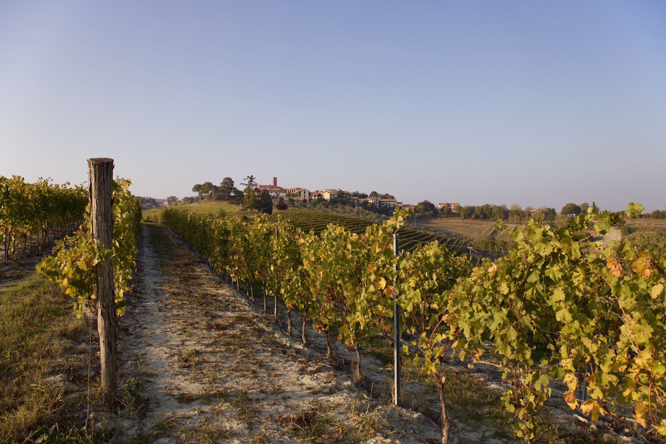 Dalla vigna al borgo