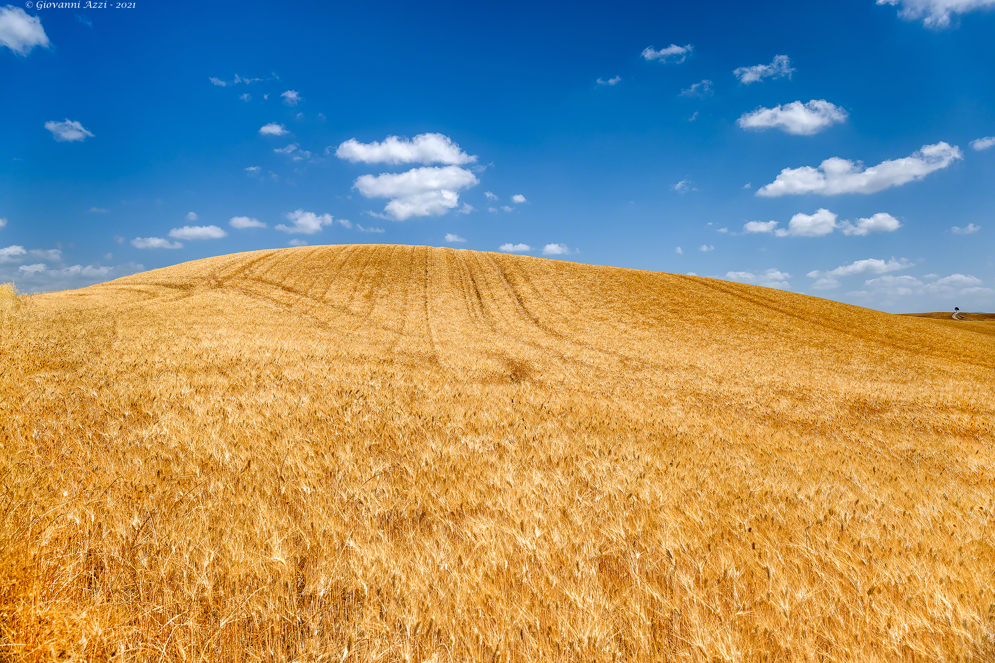 Summer for the Crete Senesi